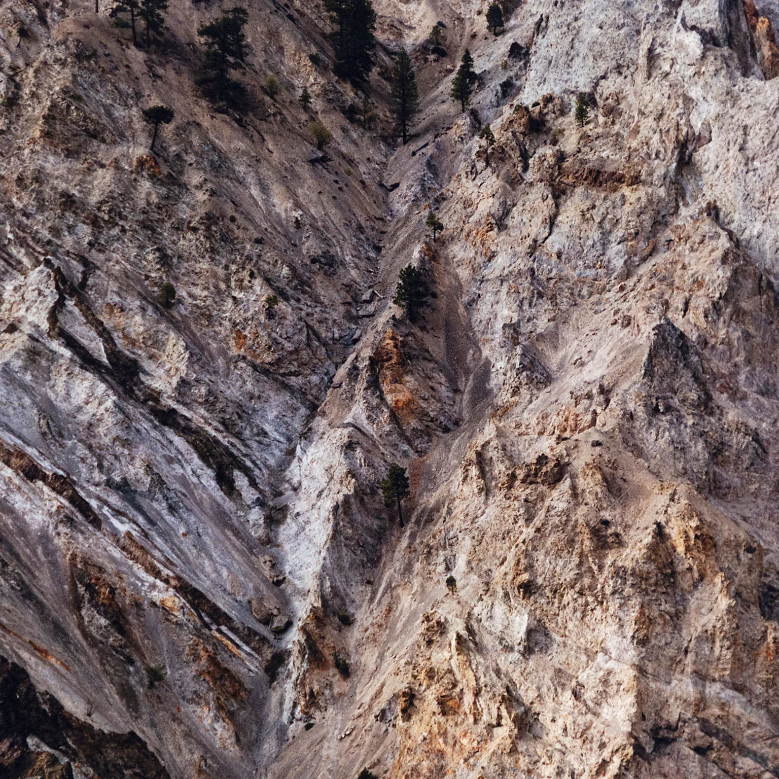 EDWARD BURTYNSKY "RAILCUTS #4 TRACK, THOMPSON RIVER, BC" 1985 - Image 10