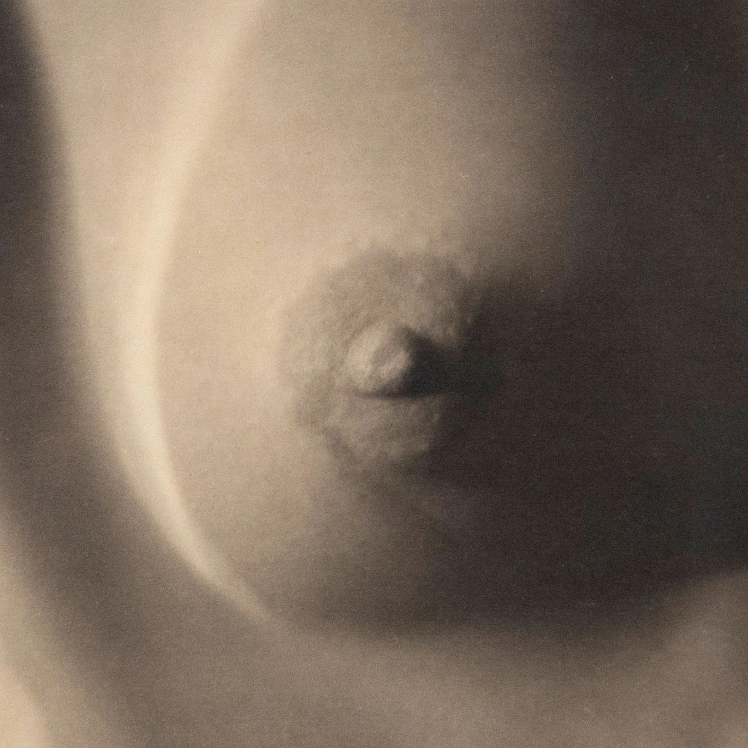 EDWARD WESTON "NUDE" GELATIN SILVER PRINT, 1920 - Image 7