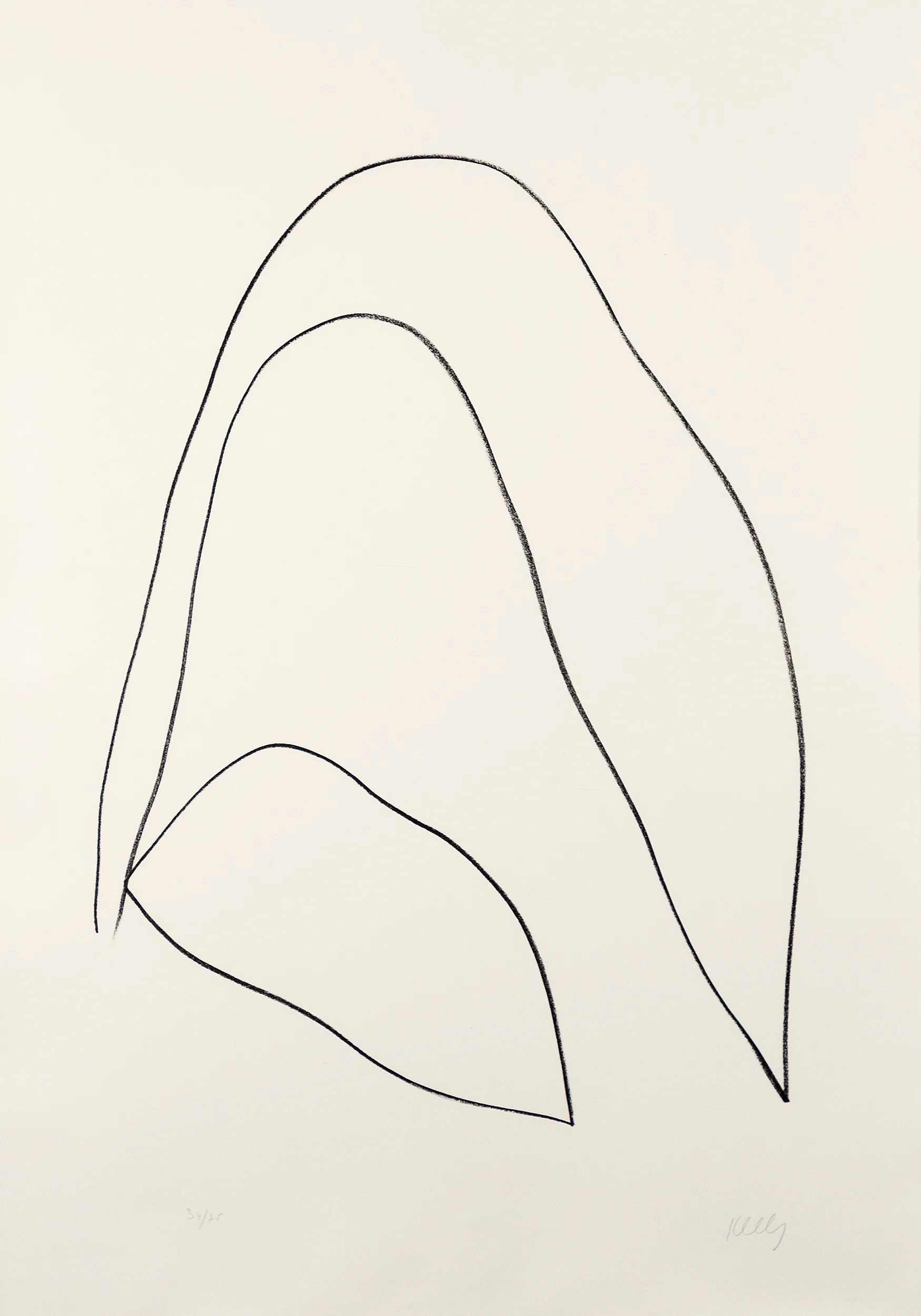 ELLSWORTH KELLY "LEAVES (FEUILLES)" LITHOGRAPH, 1964 - Image 10