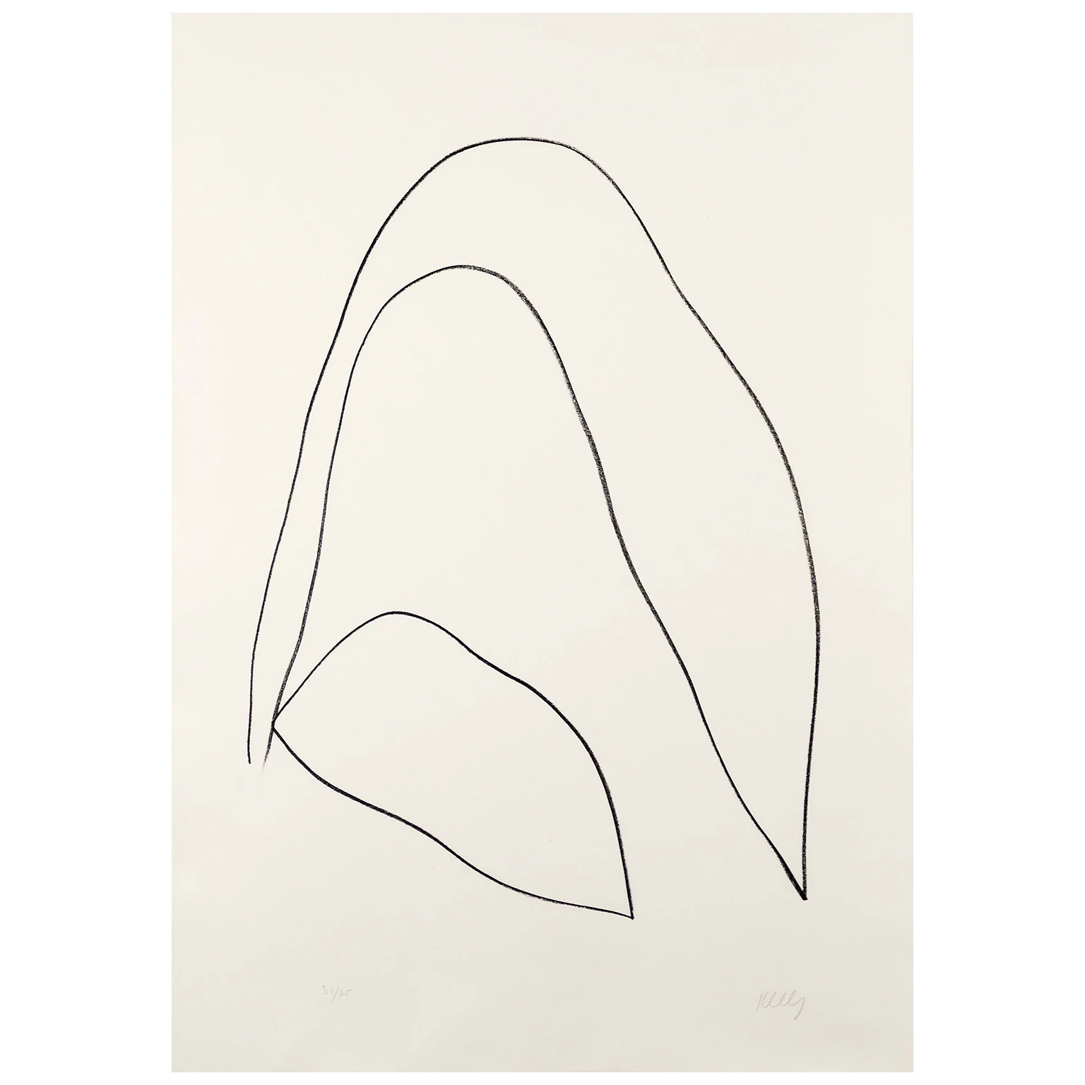ELLSWORTH KELLY "LEAVES (FEUILLES)" LITHOGRAPH, 1964 - Image 3