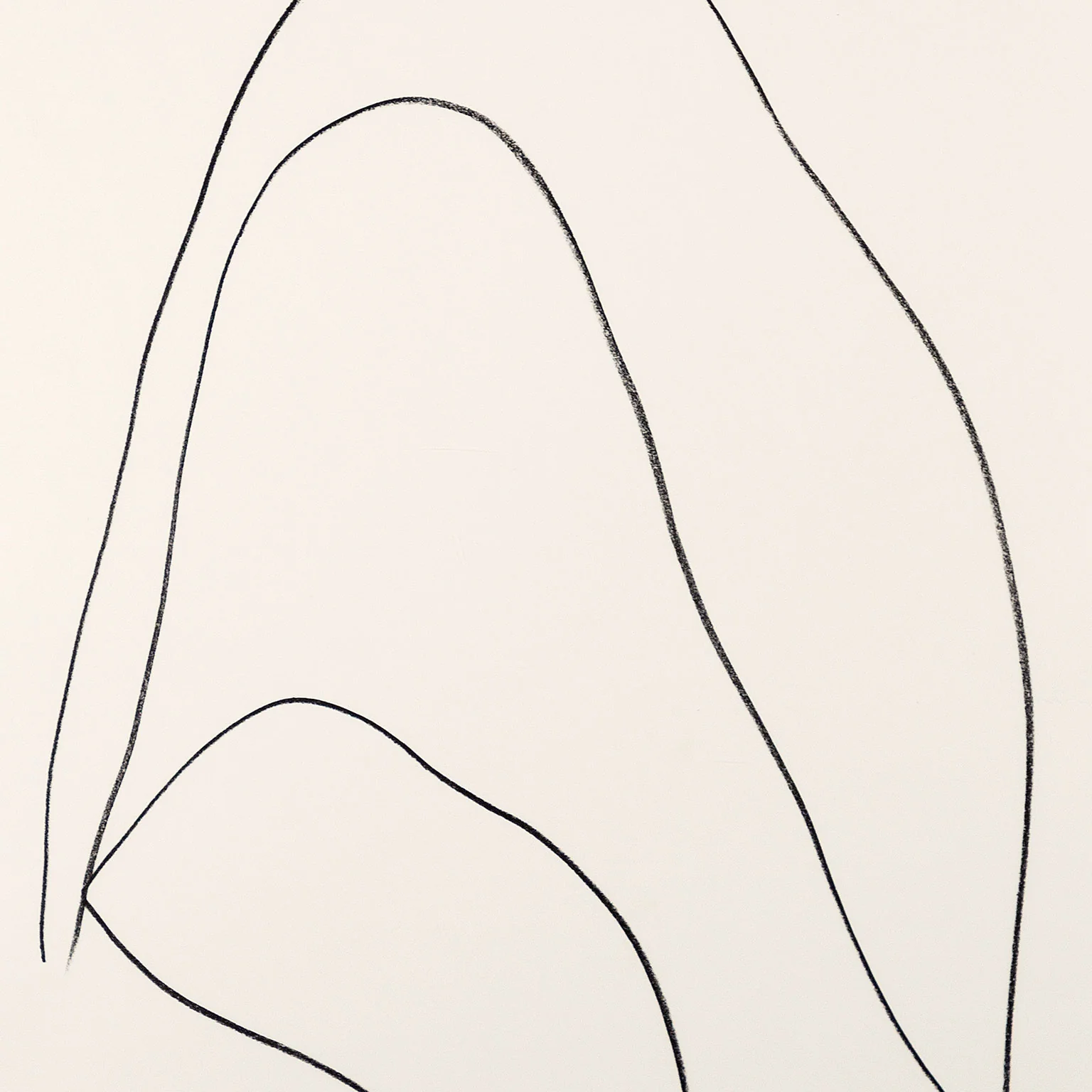 ELLSWORTH KELLY "LEAVES (FEUILLES)" LITHOGRAPH, 1964 - Image 4