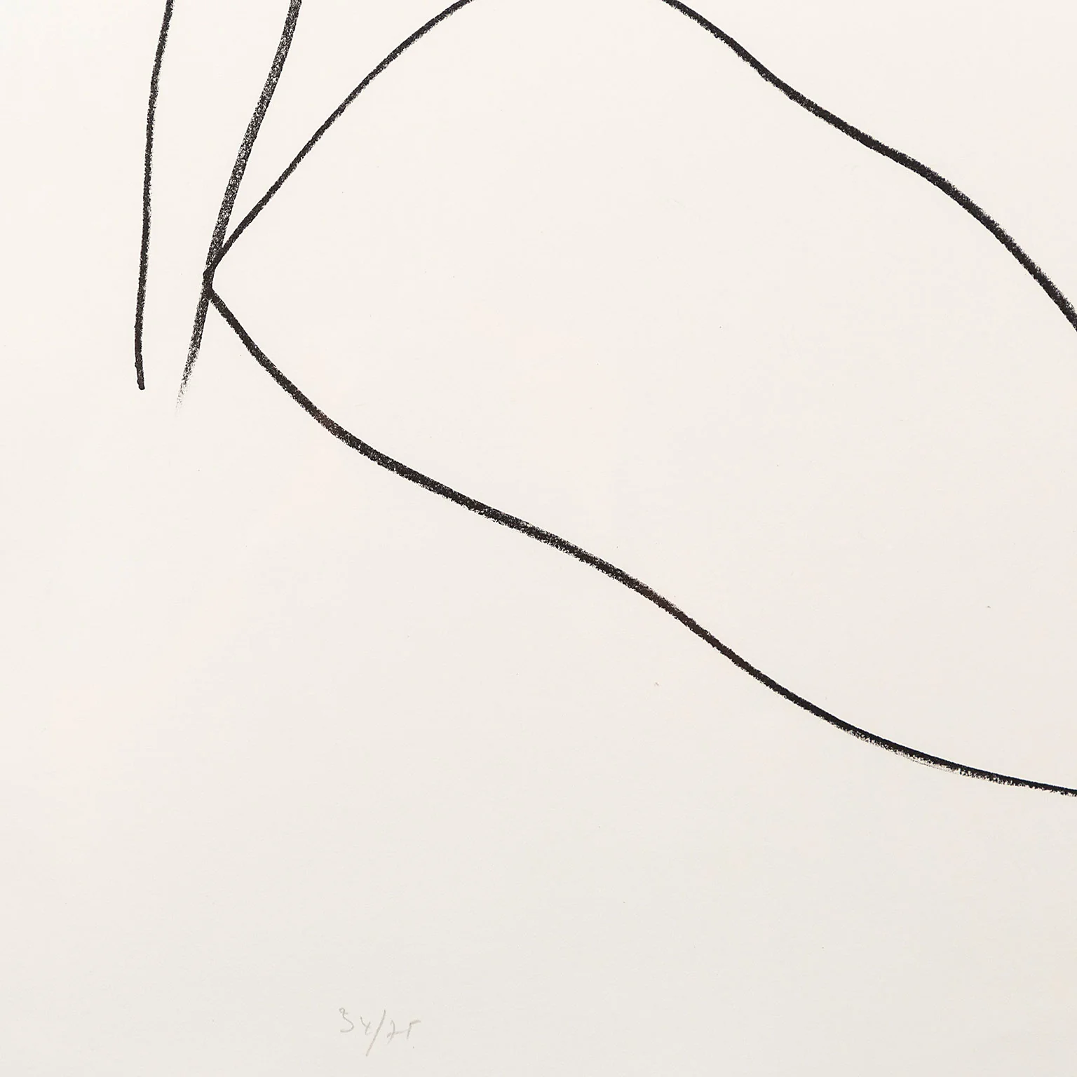 ELLSWORTH KELLY "LEAVES (FEUILLES)" LITHOGRAPH, 1964 - Image 5