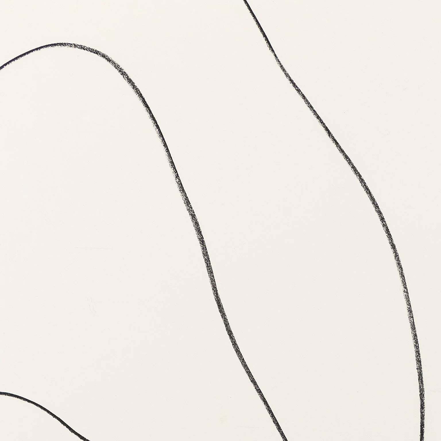 ELLSWORTH KELLY "LEAVES (FEUILLES)" LITHOGRAPH, 1964 - Image 6