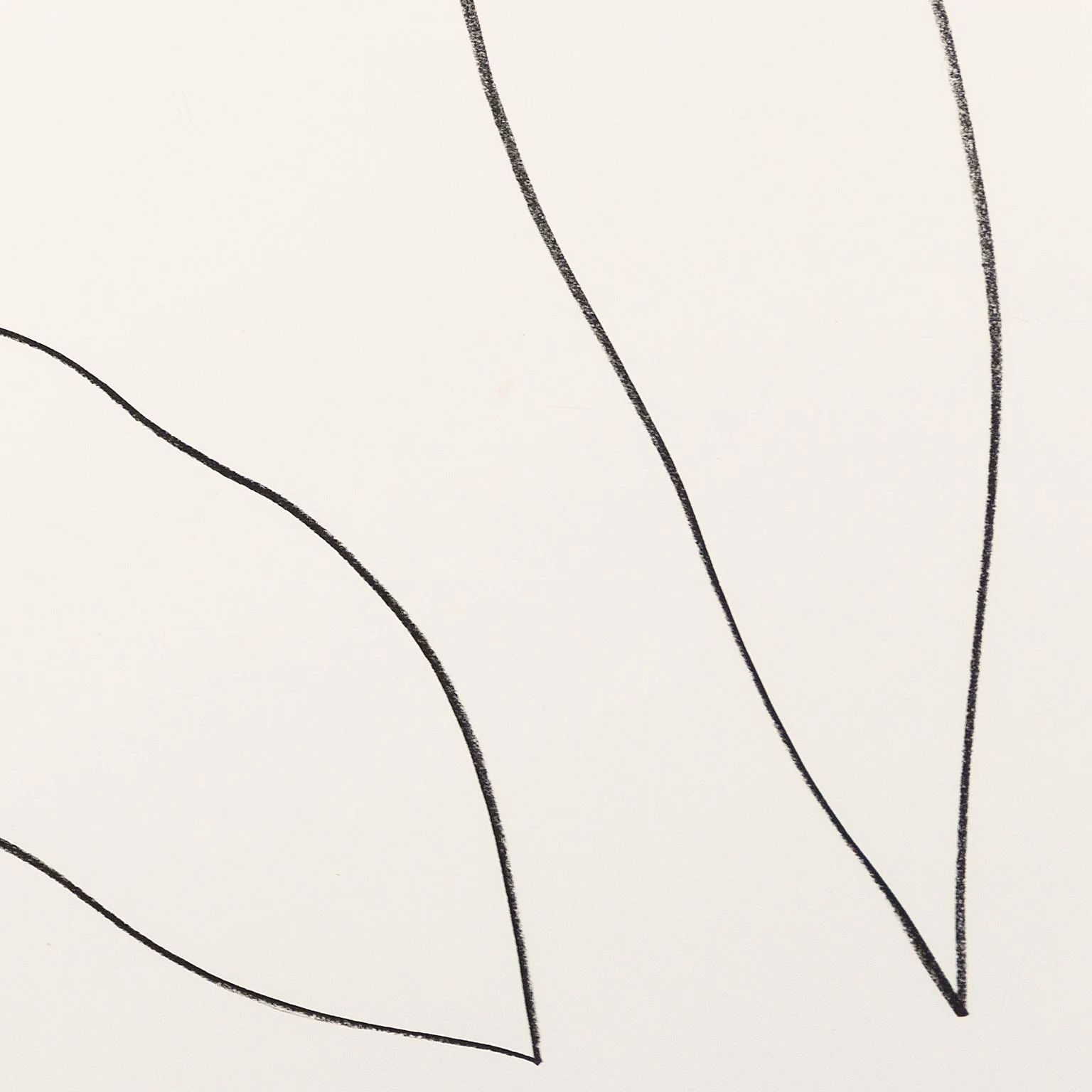 ELLSWORTH KELLY "LEAVES (FEUILLES)" LITHOGRAPH, 1964 - Image 7