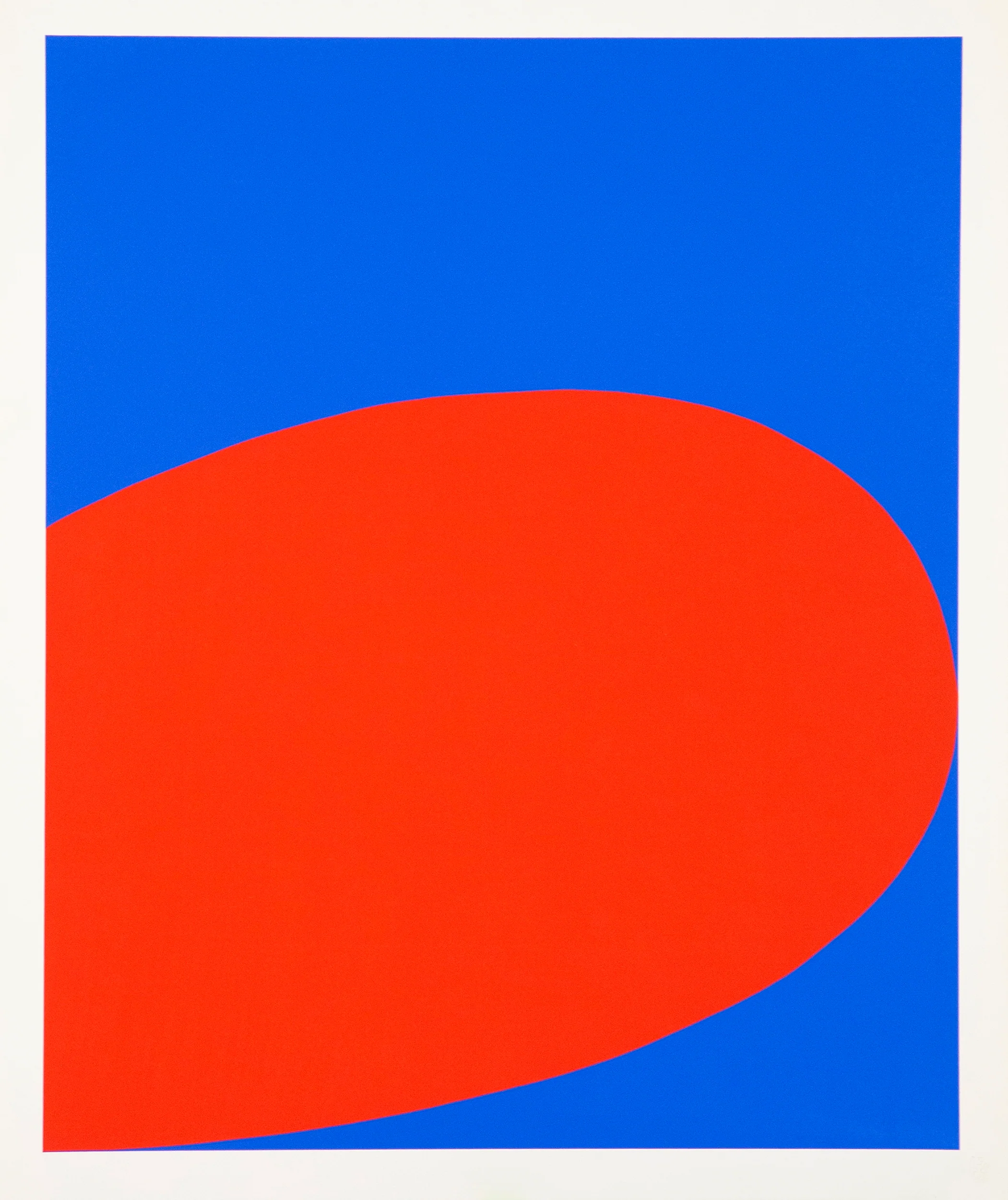 ELLSWORTH KELLY "RED BLUE" , 1964 - Image 11