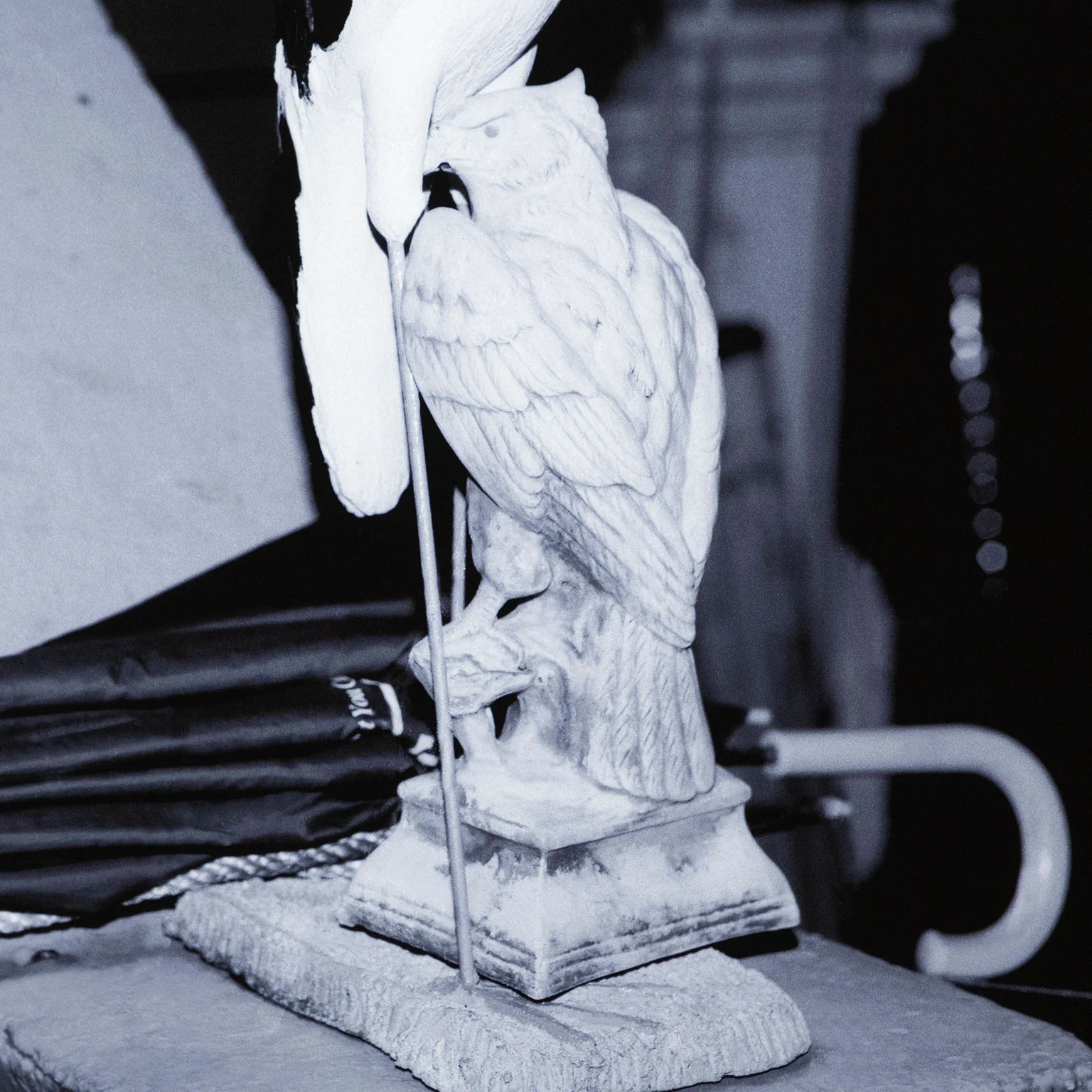EVERGON "HERON AND HAWK" 1999 - Image 5