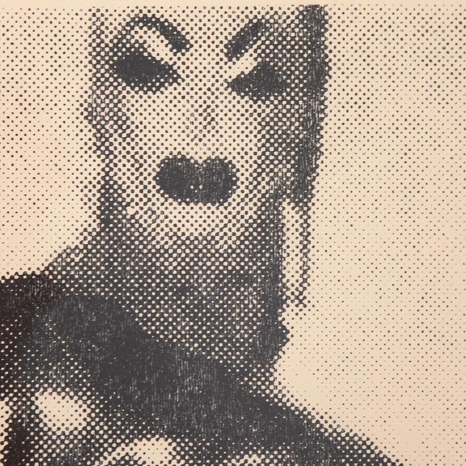 GENERAL IDEA, “ARTIST'S CONCEPTION; MISS GENERAL IDEA",  1971 - Image 5