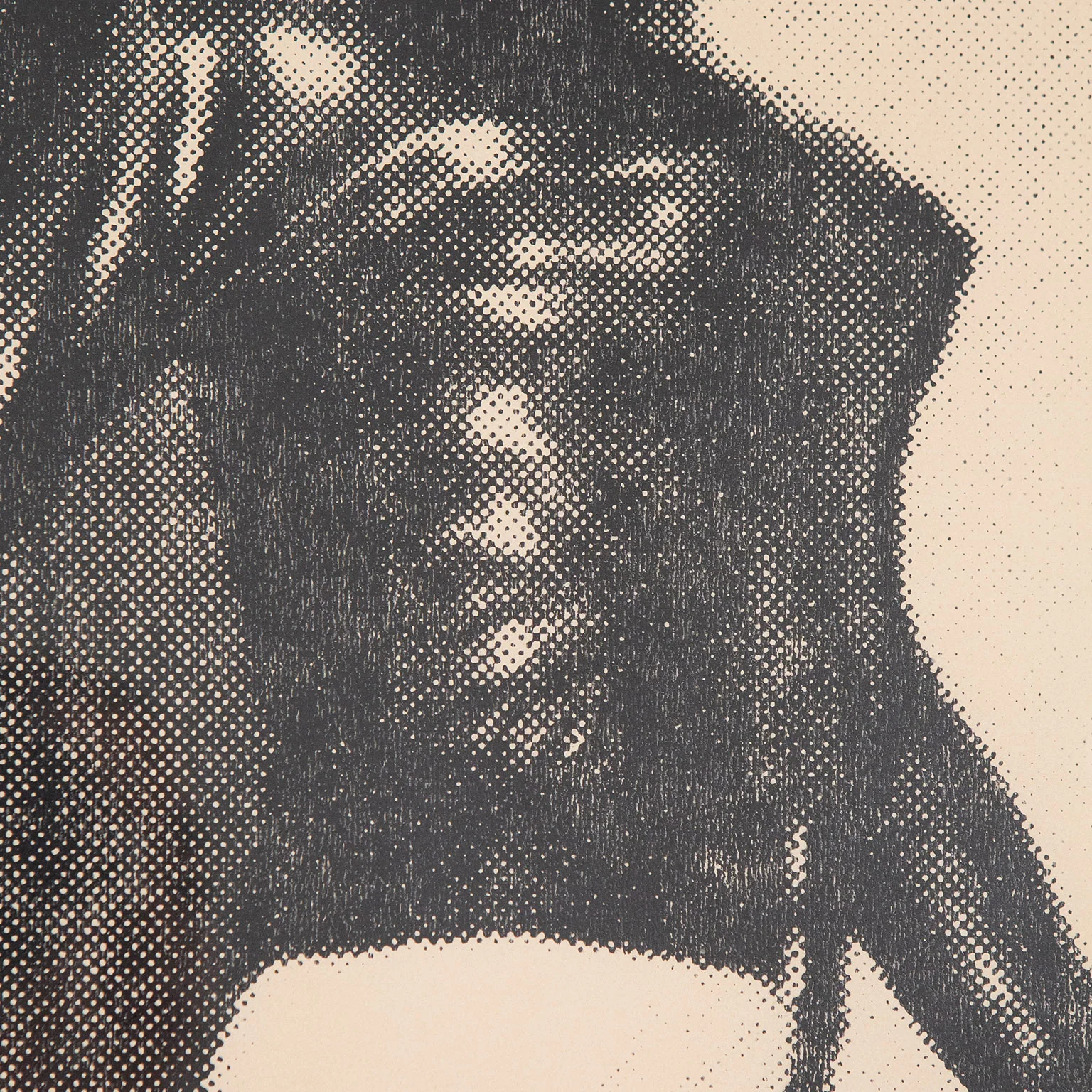 GENERAL IDEA, “ARTIST'S CONCEPTION; MISS GENERAL IDEA",  1971 - Image 6