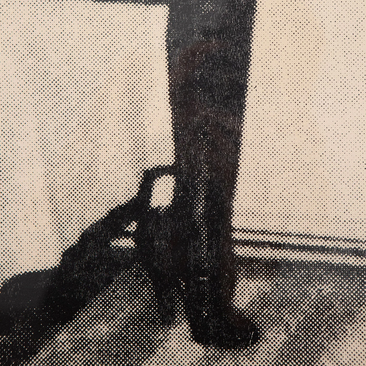 GENERAL IDEA, “ARTIST'S CONCEPTION; MISS GENERAL IDEA",  1971 - Image 7