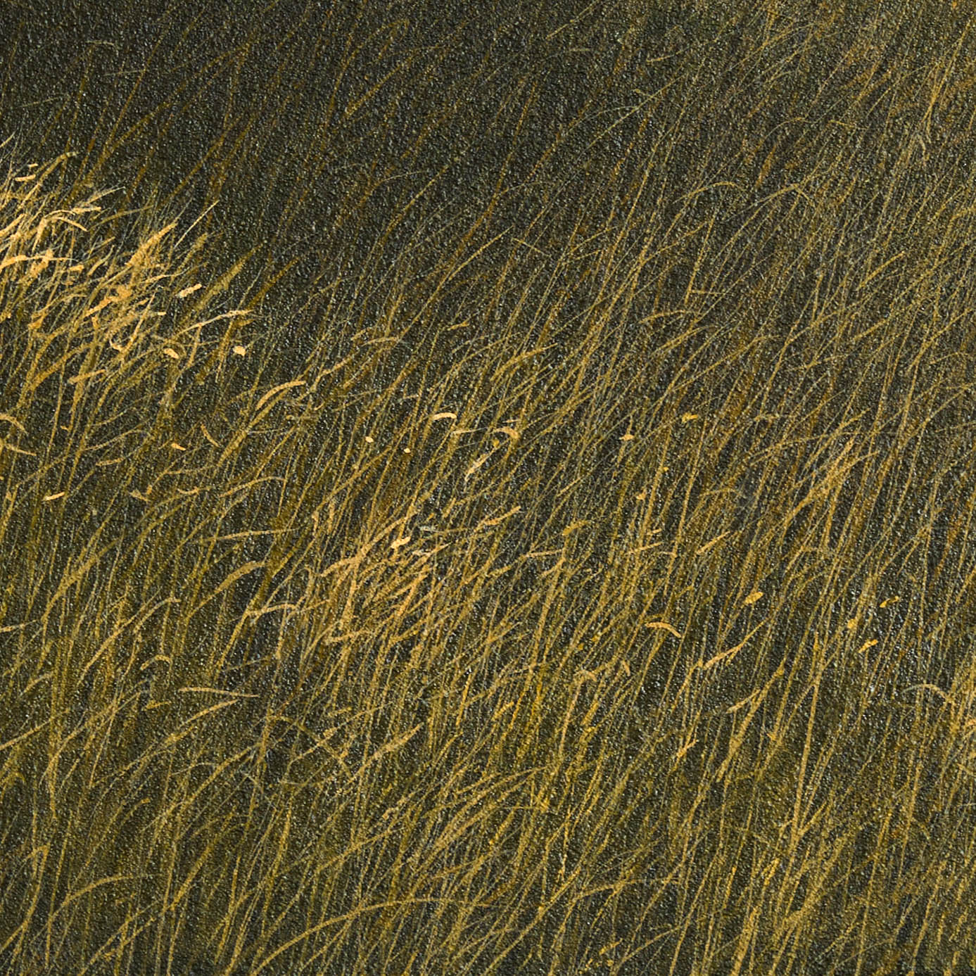 GÉRARD SCHLOSSER "PAR MOMENT" 1995 - Image 9