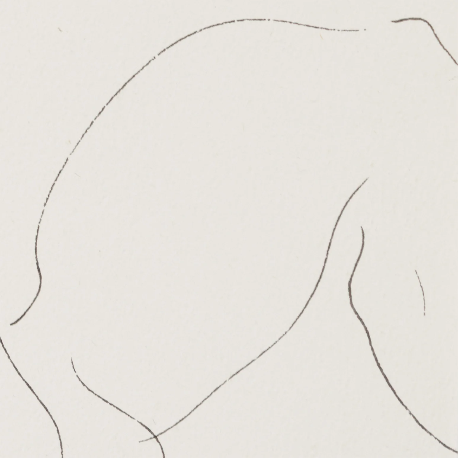 HAROLD TOWN "SURPRISED BUTLER" DRAWING, 1957 - Image 7