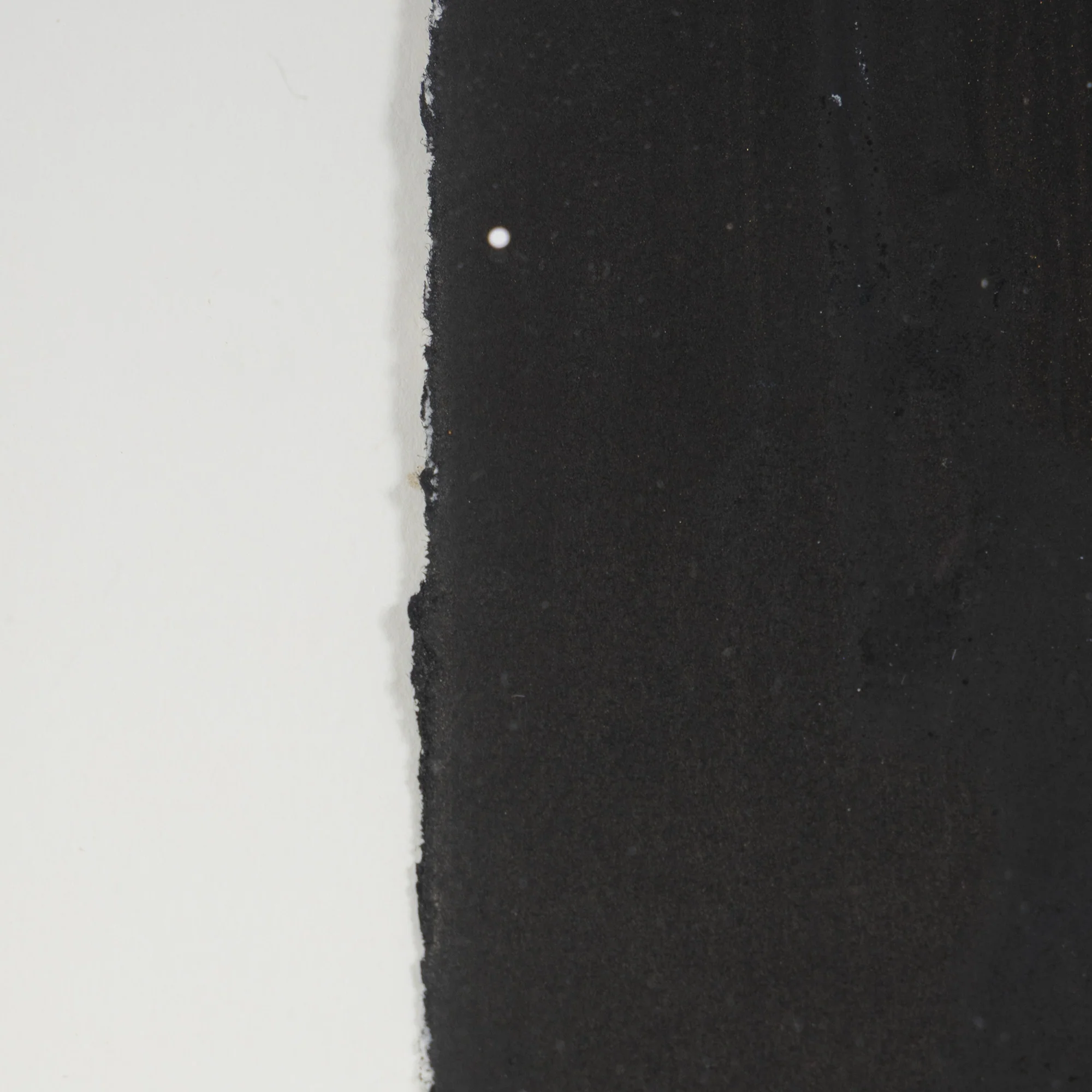 JOHN SCOTT "SPLIT HARE" 2008 - Image 10