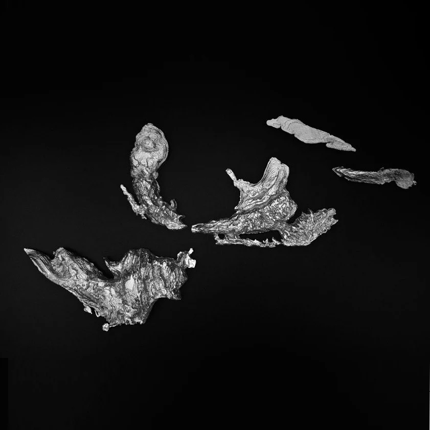 JOY CHARBONNEAU "GREAT LAKES" ALUMINUM WALL SCULPTURE - Image 4