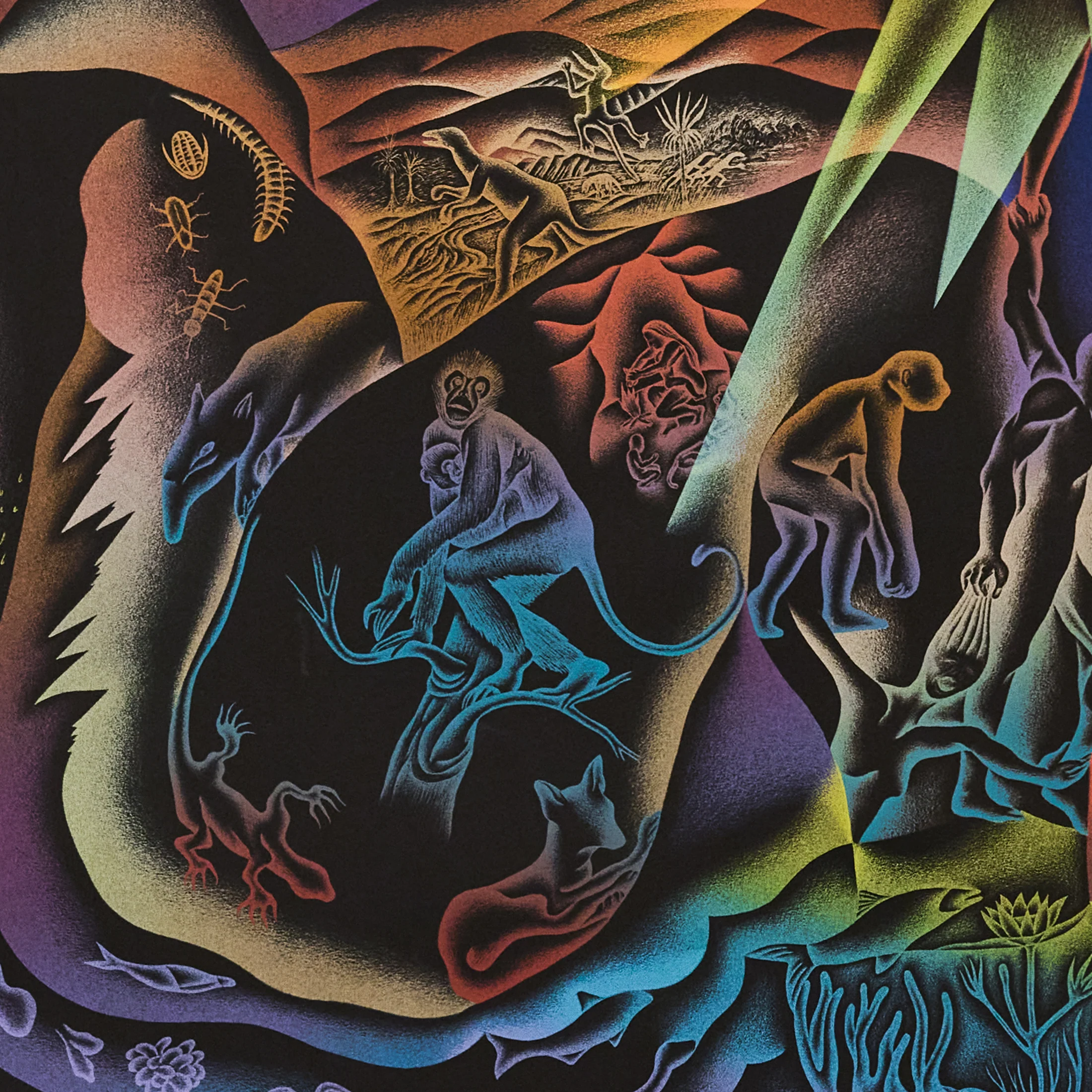 JUDY CHICAGO "THE CREATION" SERIGRAPH, 1985 - Image 7