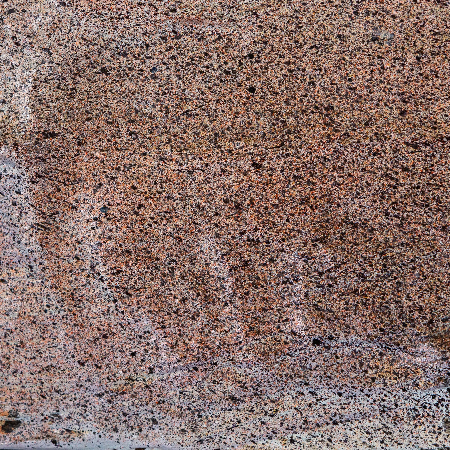 JULES OLITSKI "TORTUGA" 1985 - Image 6