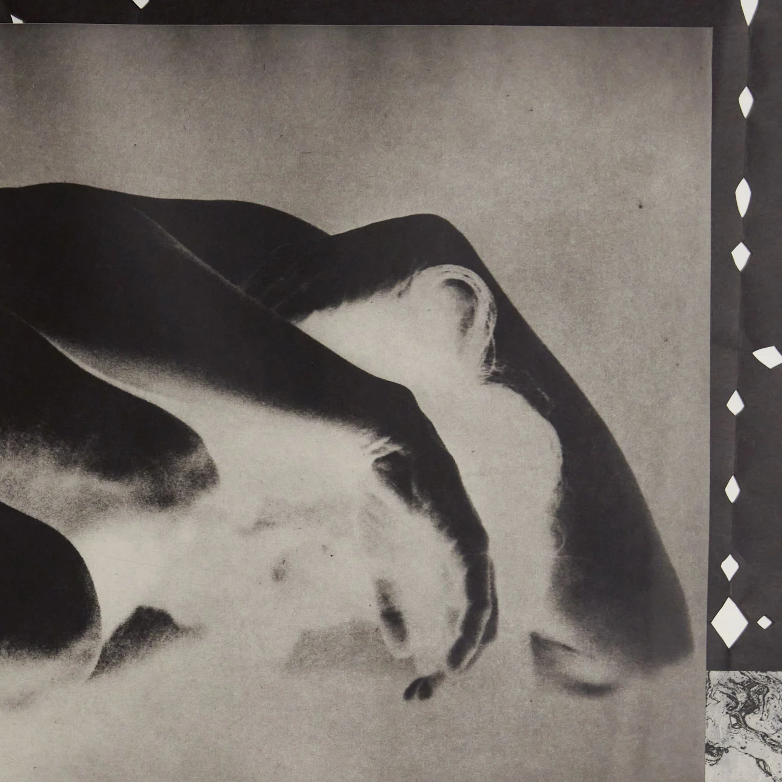 KIKI SMITH "WORM" 1992 - Image 4
