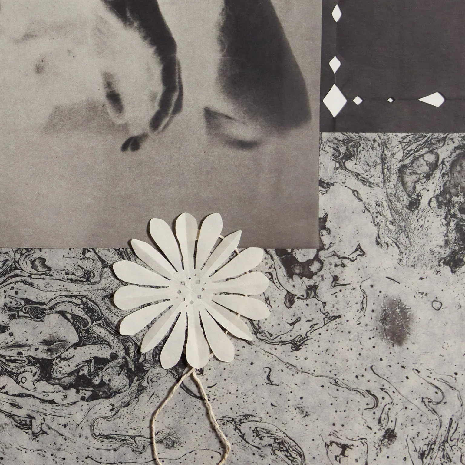 KIKI SMITH "WORM" 1992 - Image 5