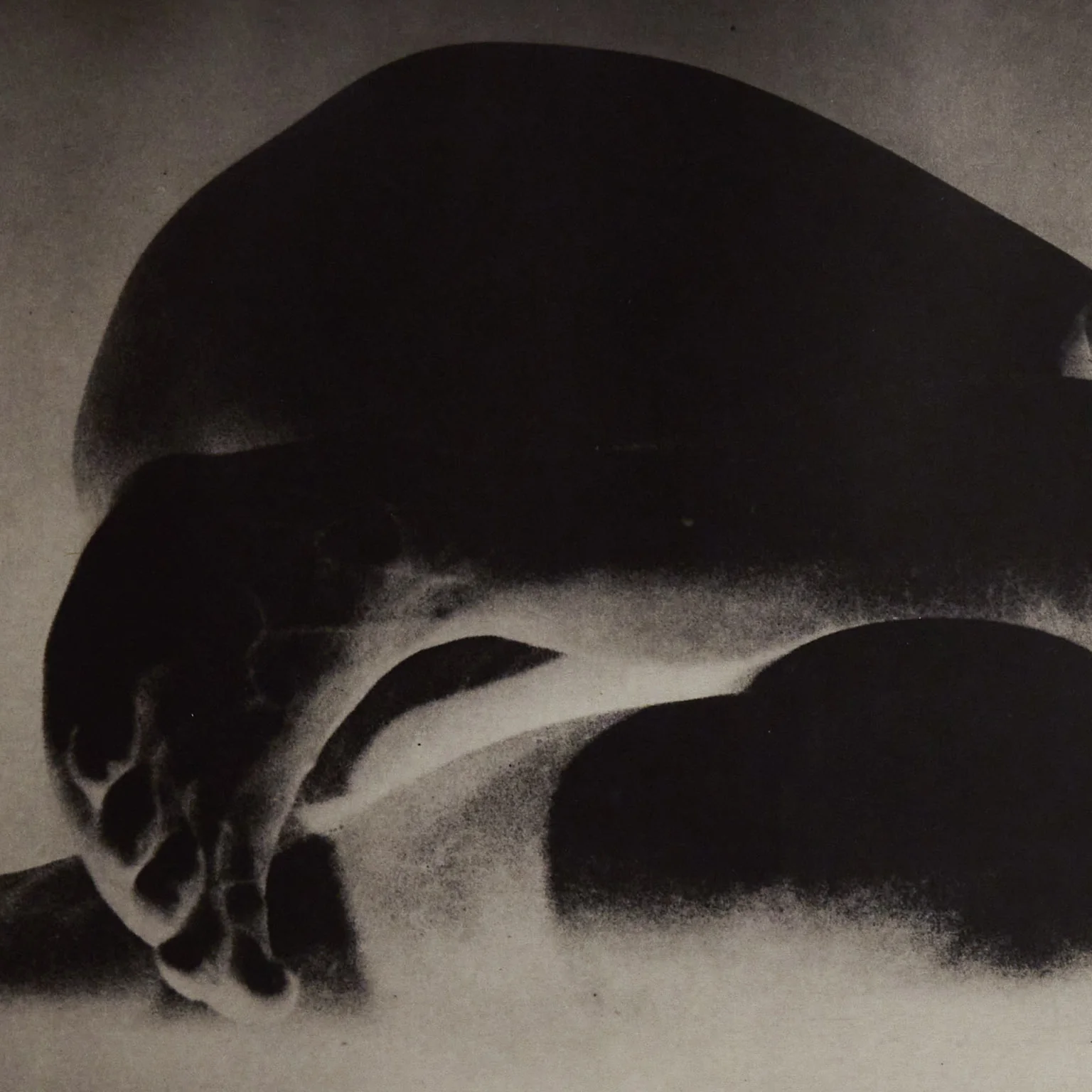 KIKI SMITH "WORM" 1992 - Image 9