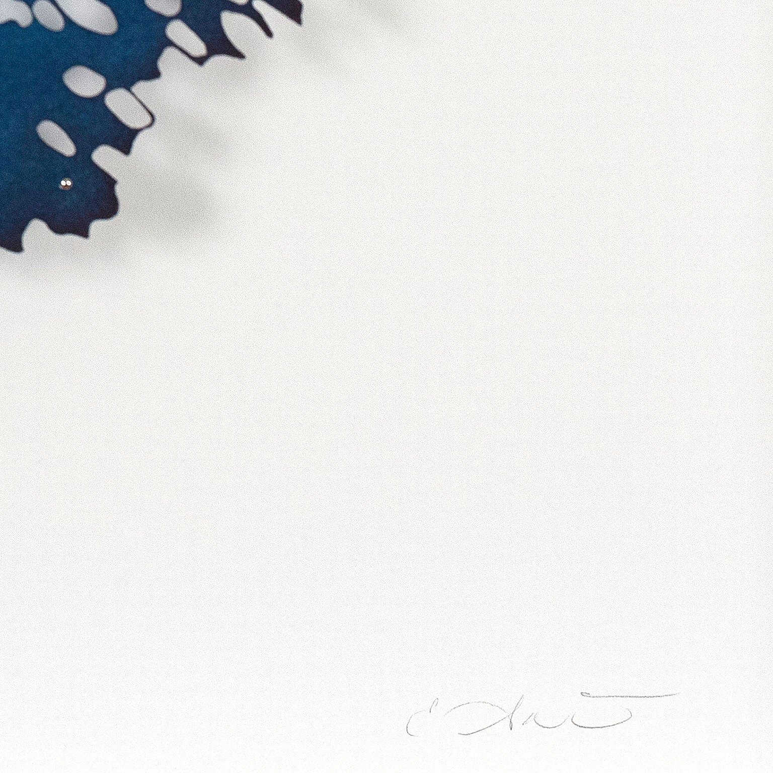 LIZZ ASTON "BLUE APATITE" 2018 - Image 4