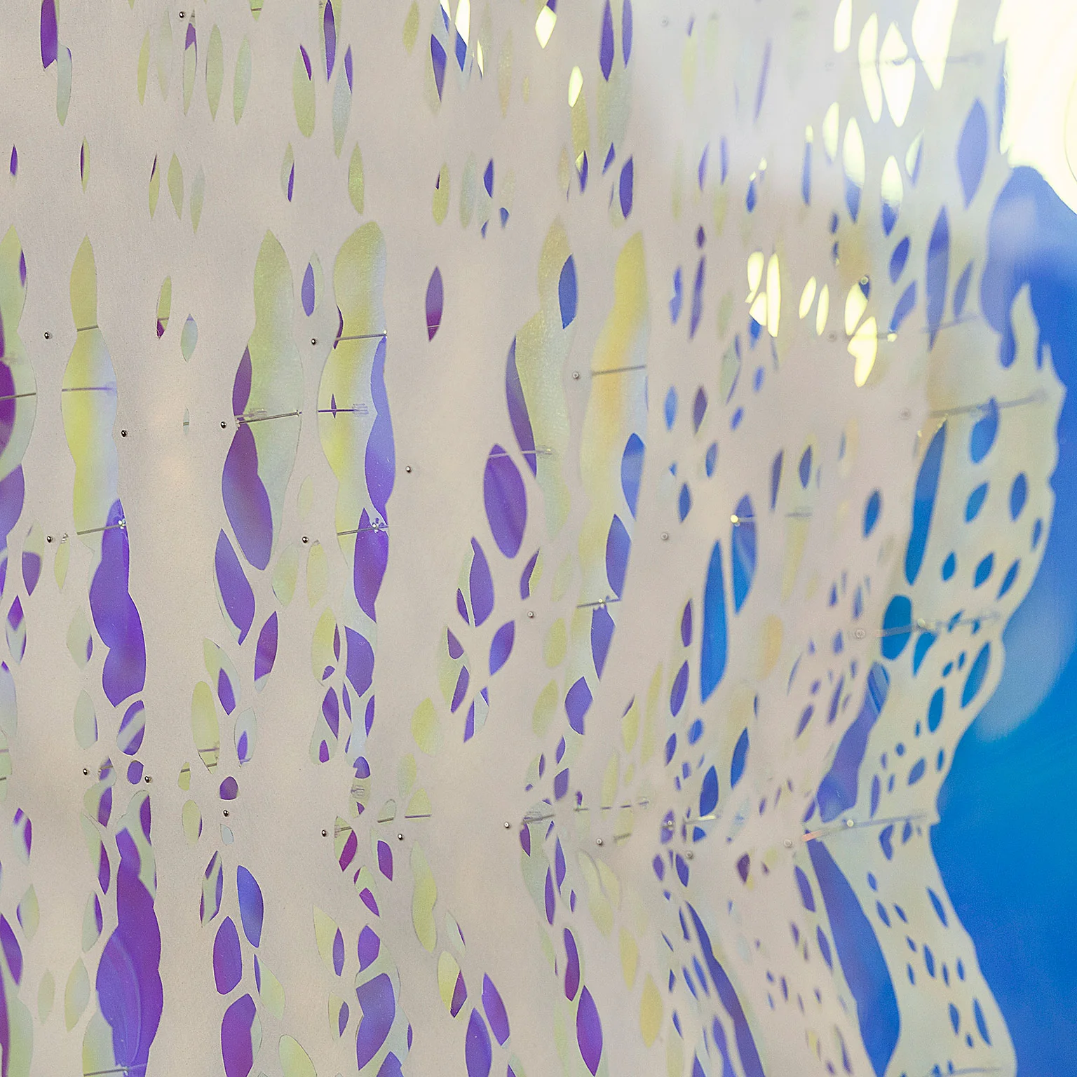LIZZ ASTON "LATERAL OPTICS" 2018 - Image 6