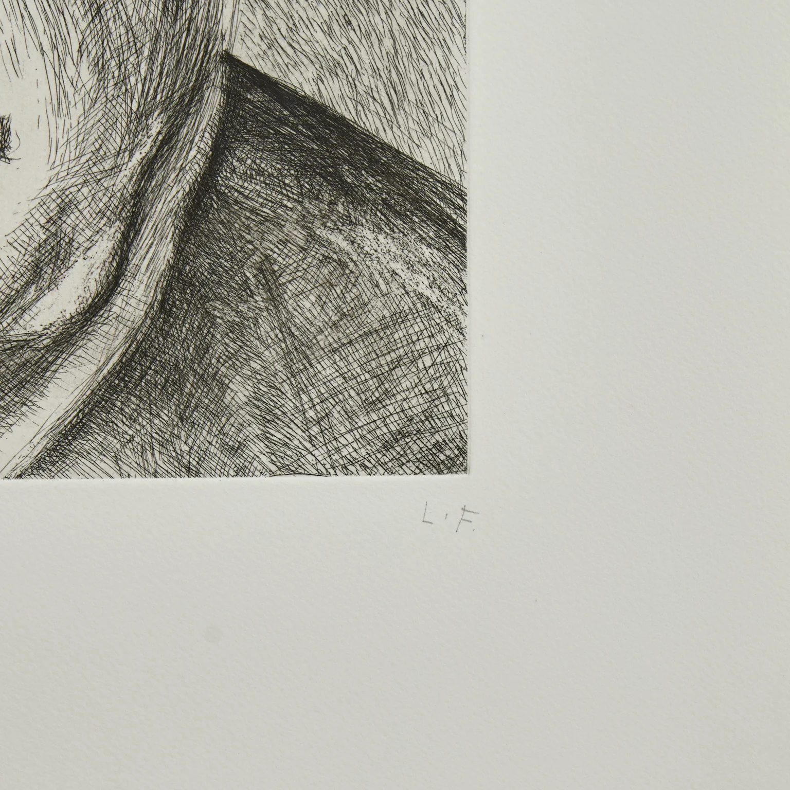 LUCIAN FREUD "DONEGAL MAN" ETCHING, 2006 - Image 4
