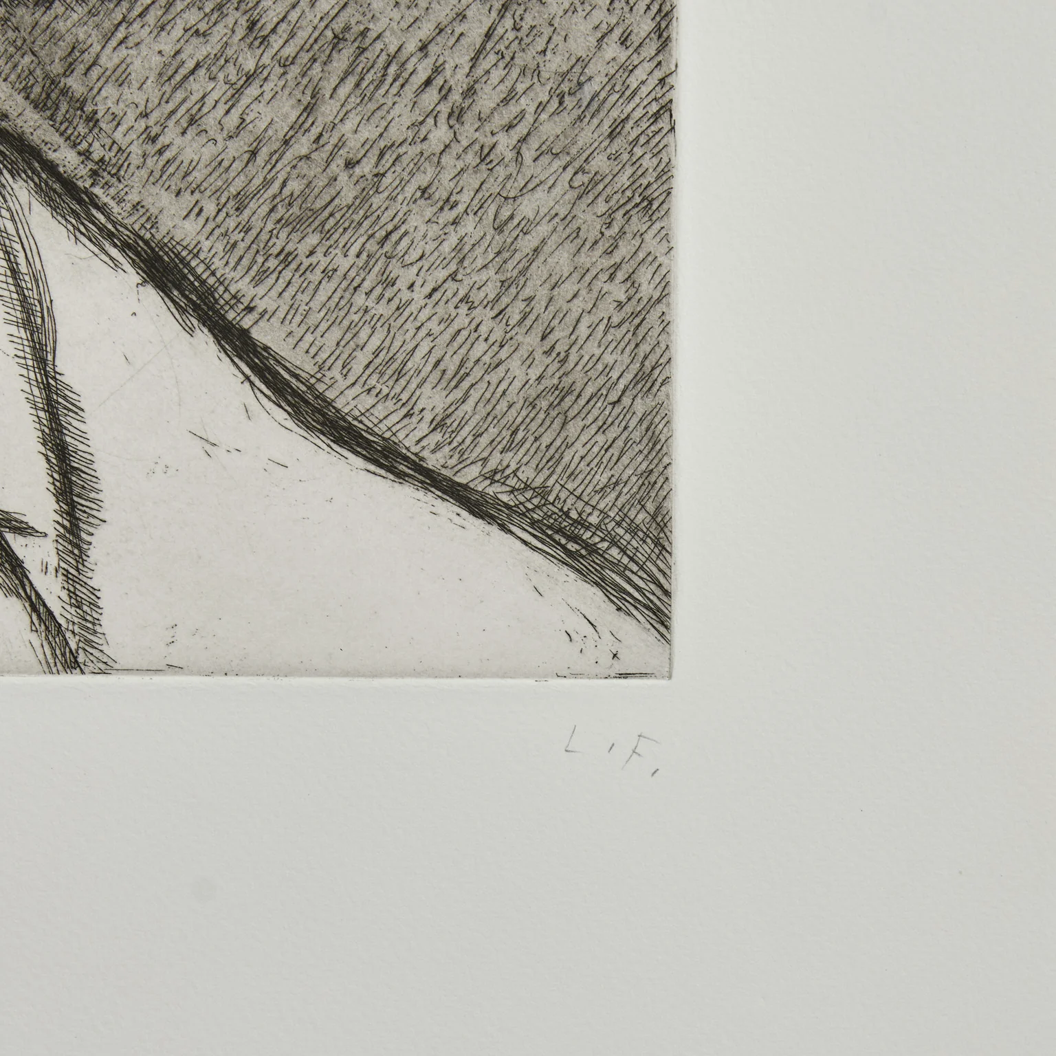 LUCIAN FREUD "THE NEW YORKER" ETCHING, 2006 - Image 4
