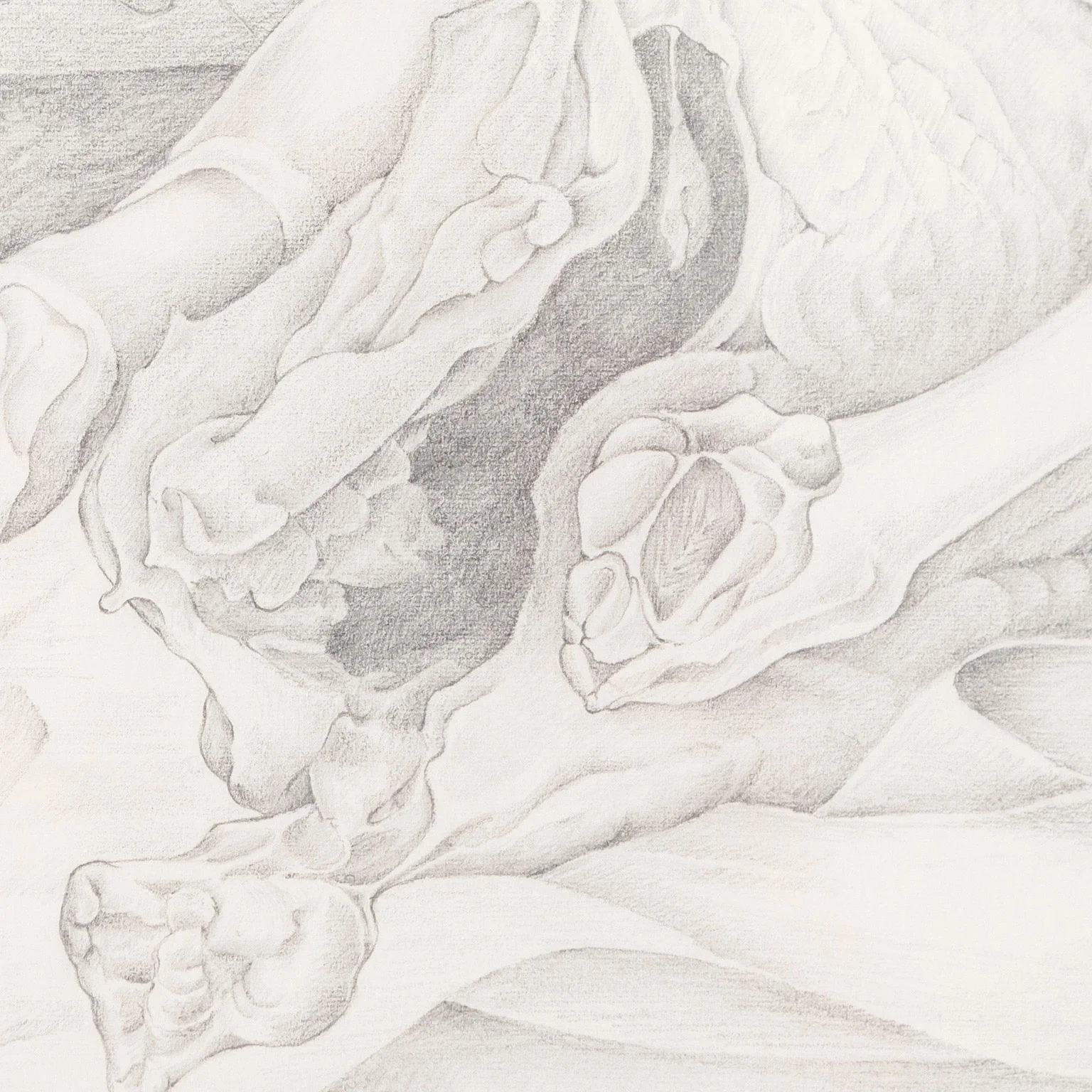 MARY PRATT "EVISCERATED CHICKENS" DRAWING, 1971 - Image 7