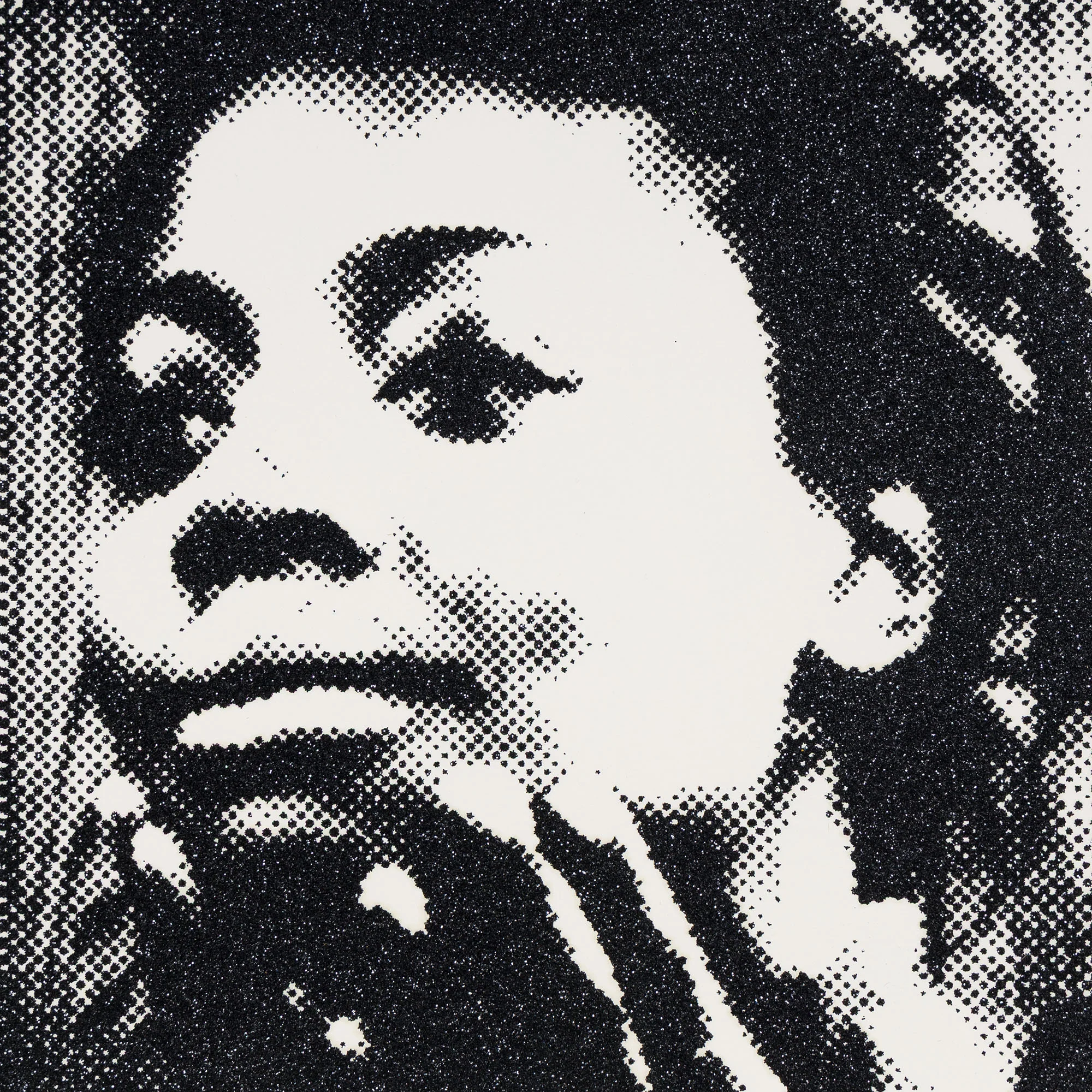 MICKALENE THOMAS "SCREEN TEST" SCREENPRINT, 2024 - Image 6