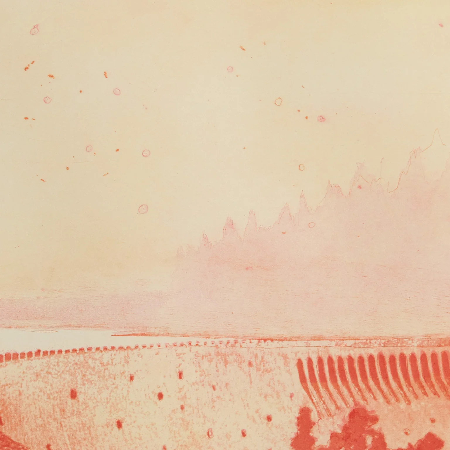 PETER DOIG "MULDENBERG" ETCHING, 2001 - Image 5