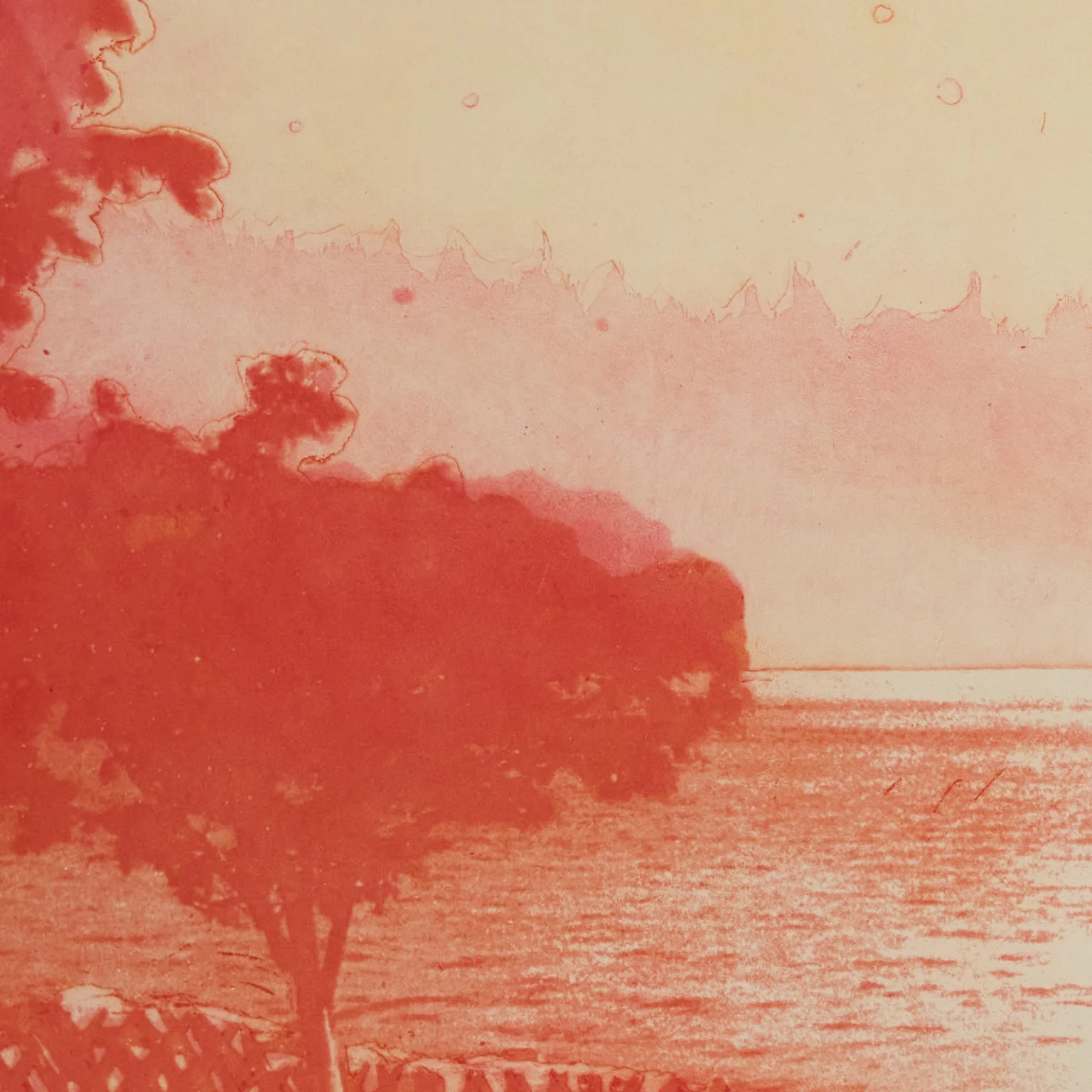 PETER DOIG "MULDENBERG" ETCHING, 2001 - Image 8