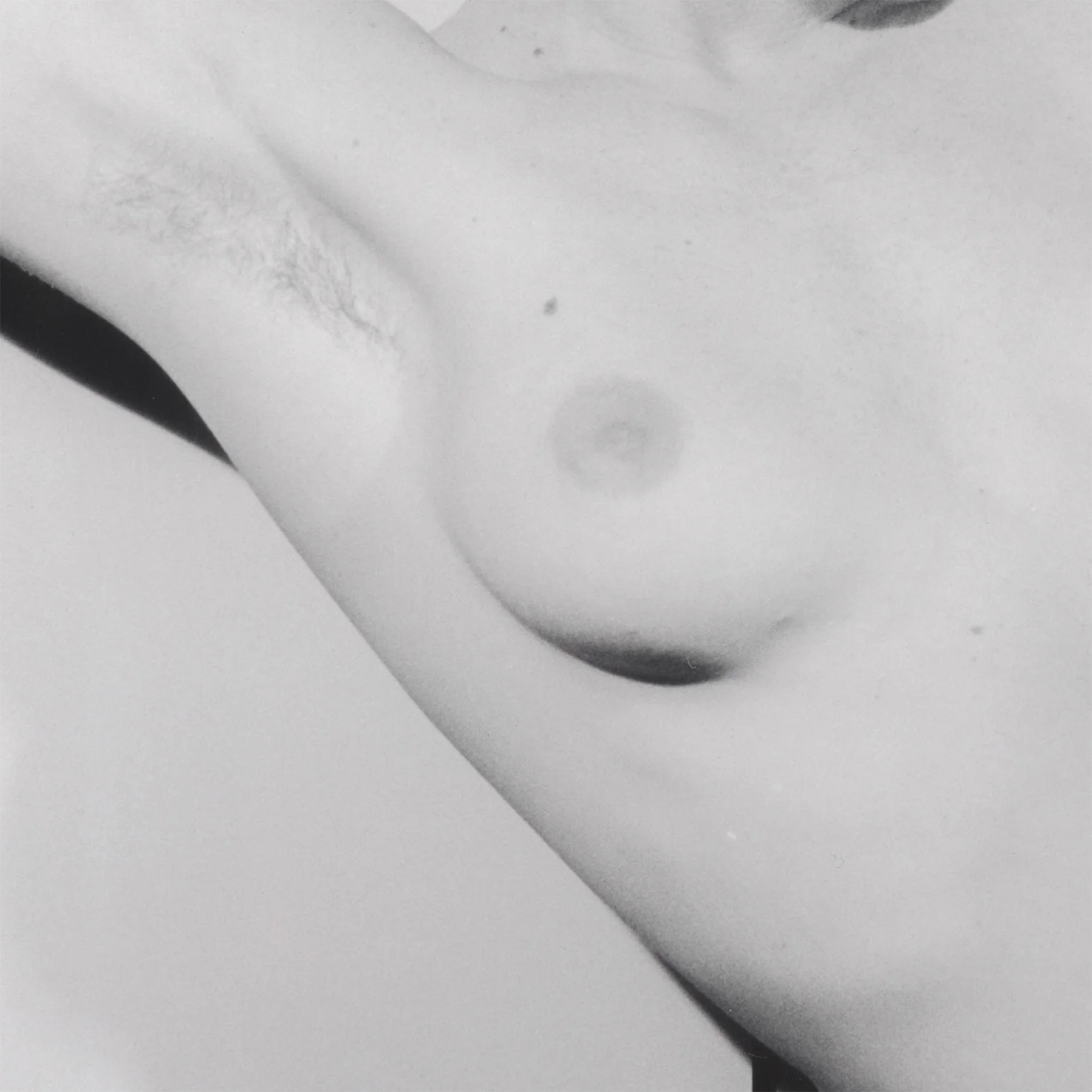 ROBERT MAPPLETHORPE "LISA LYON" 1982 - Image 9