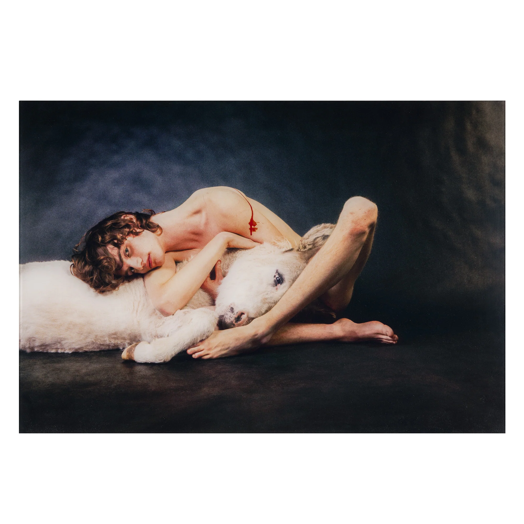 RYAN MCGINLEY "RICHARD (DONKEY)" 2012 - Image 3