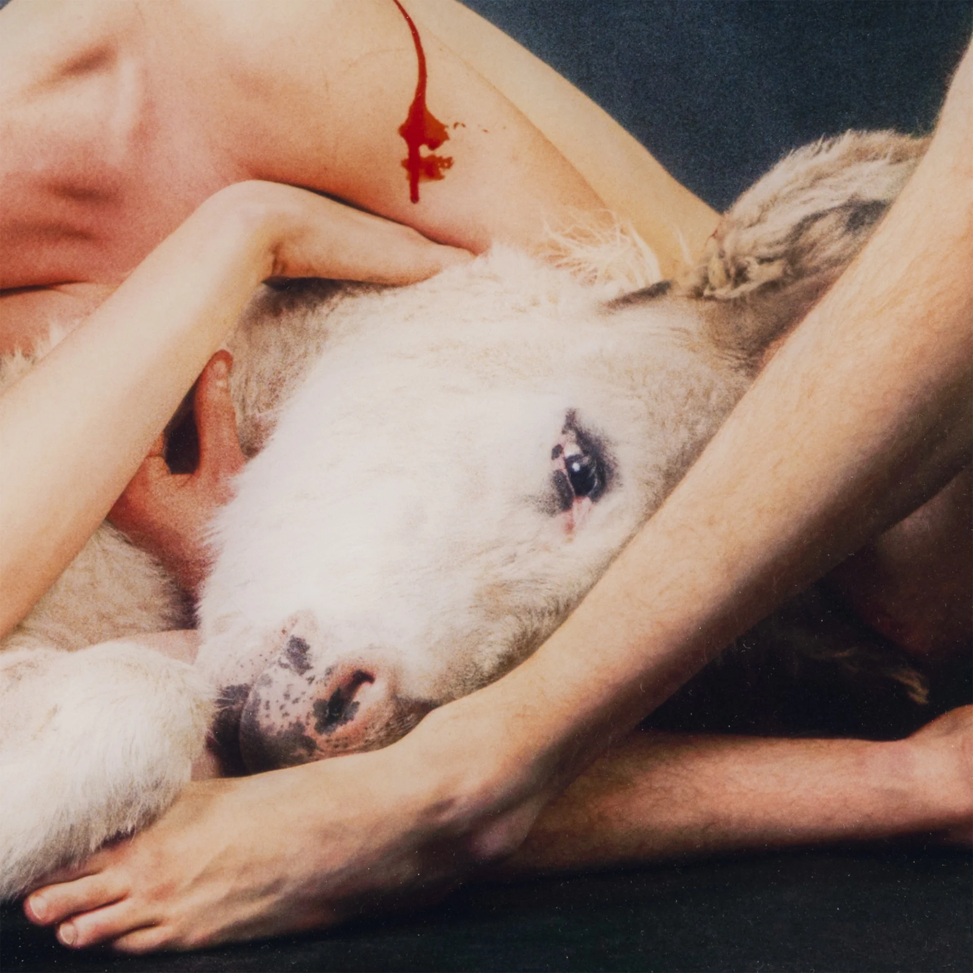 RYAN MCGINLEY "RICHARD (DONKEY)" 2012 - Image 6