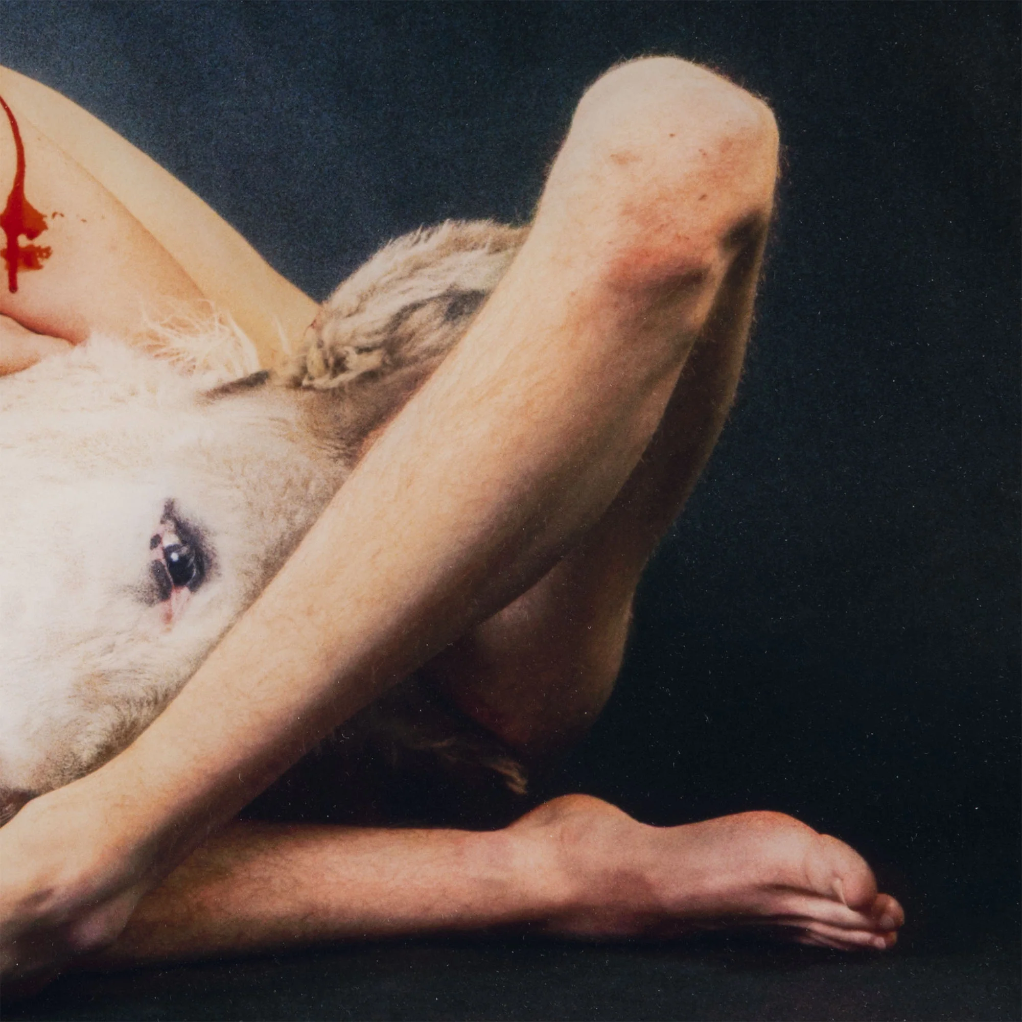 RYAN MCGINLEY "RICHARD (DONKEY)" 2012 - Image 7