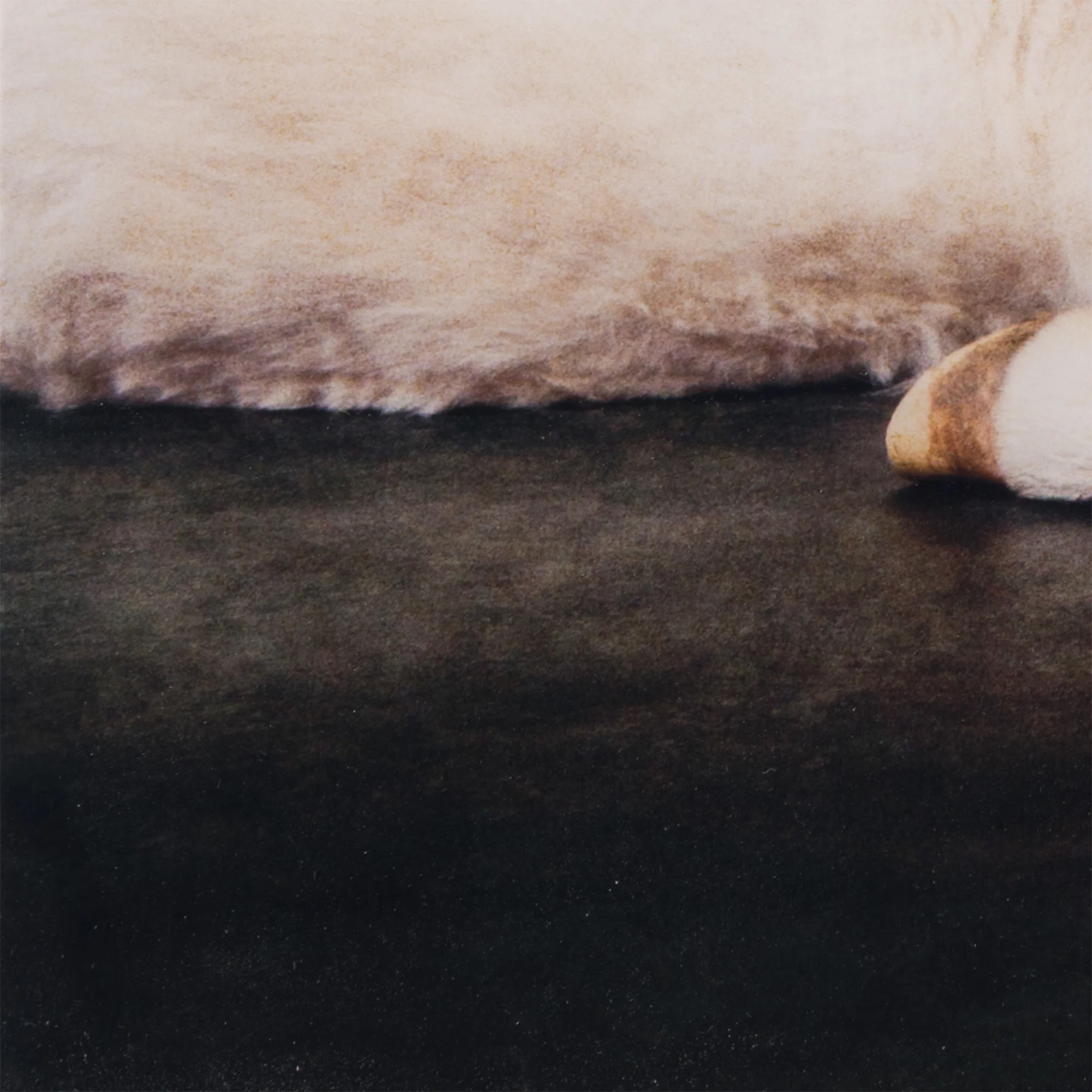 RYAN MCGINLEY "RICHARD (DONKEY)" 2012 - Image 9
