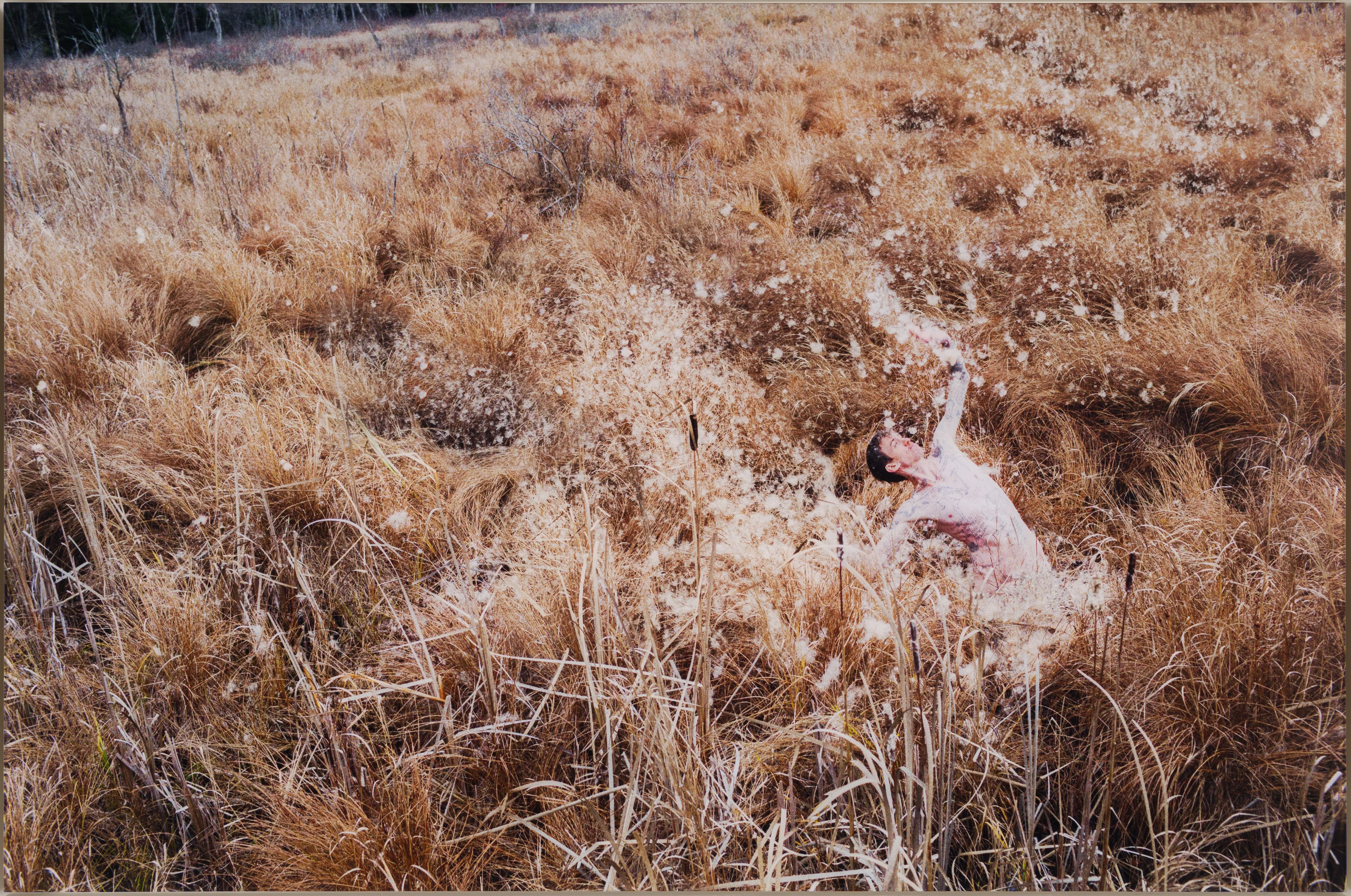 RYAN MCGINLEY "TYPHA" 2017 - Image 10