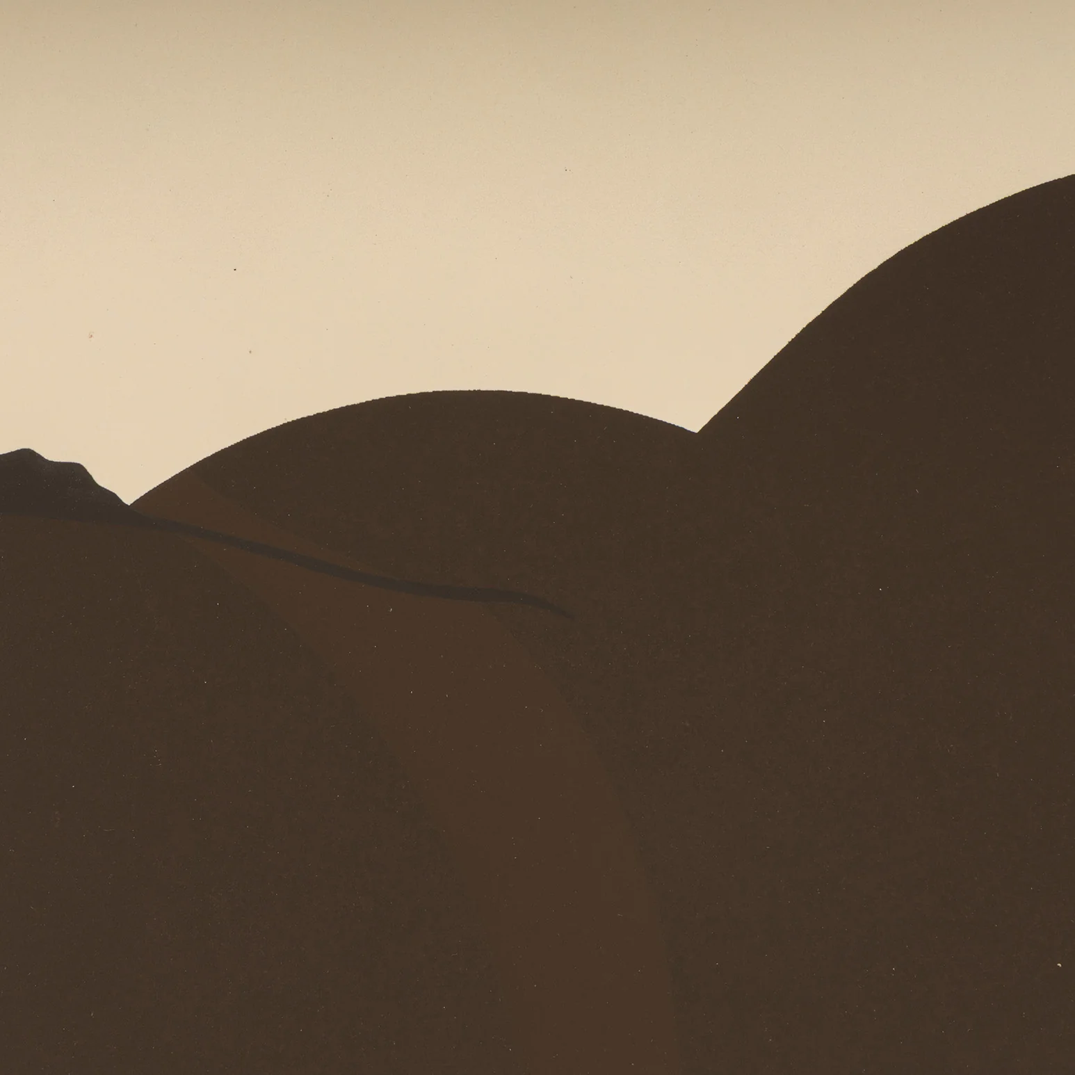 TOM WESSELMANN "GREAT AMERICAN BROWN NUDE" SCREENPRINT, 1971 - Image 9