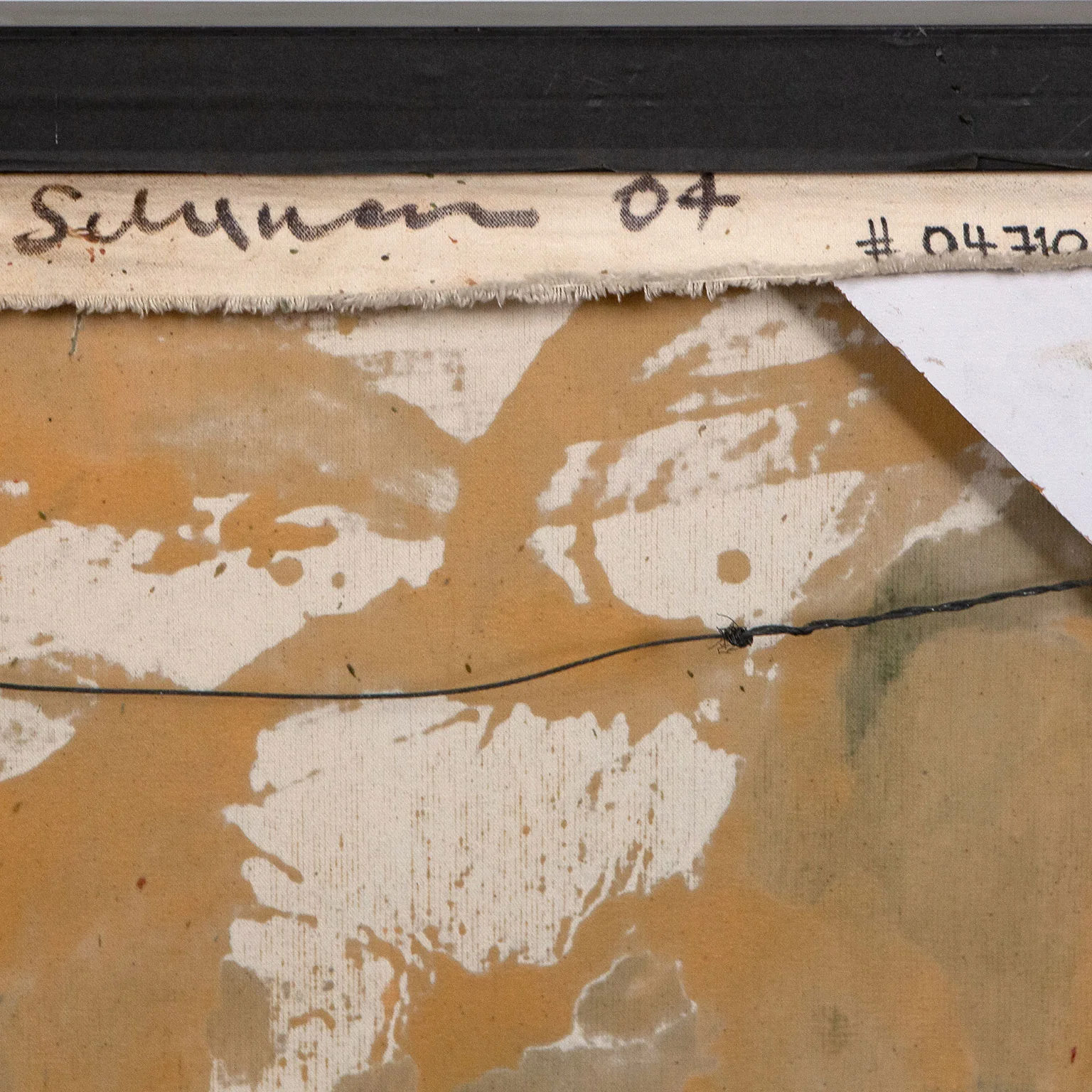 TONY SCHERMAN "CIAO GAIA", 2004 - Image 4