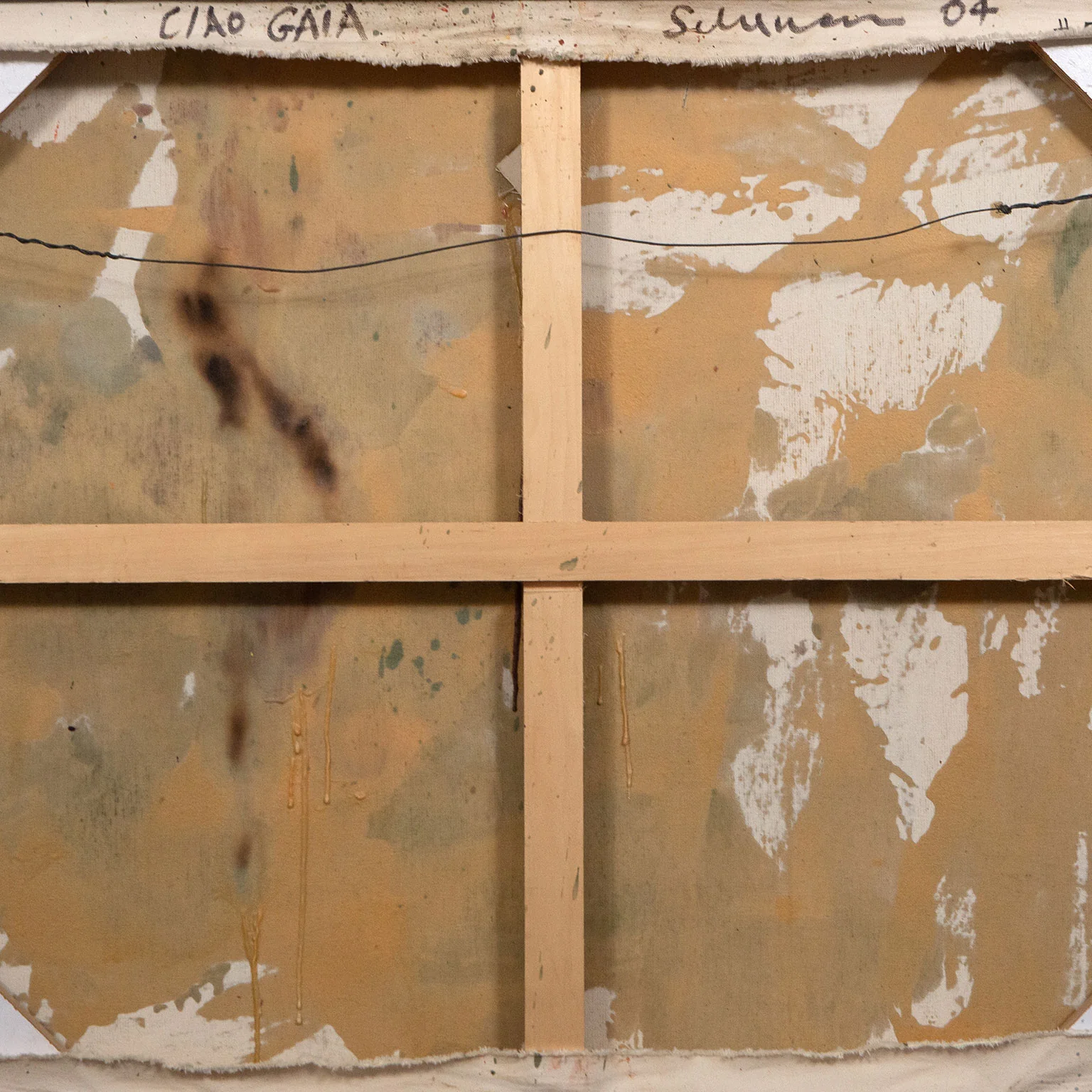 TONY SCHERMAN "CIAO GAIA", 2004 - Image 5