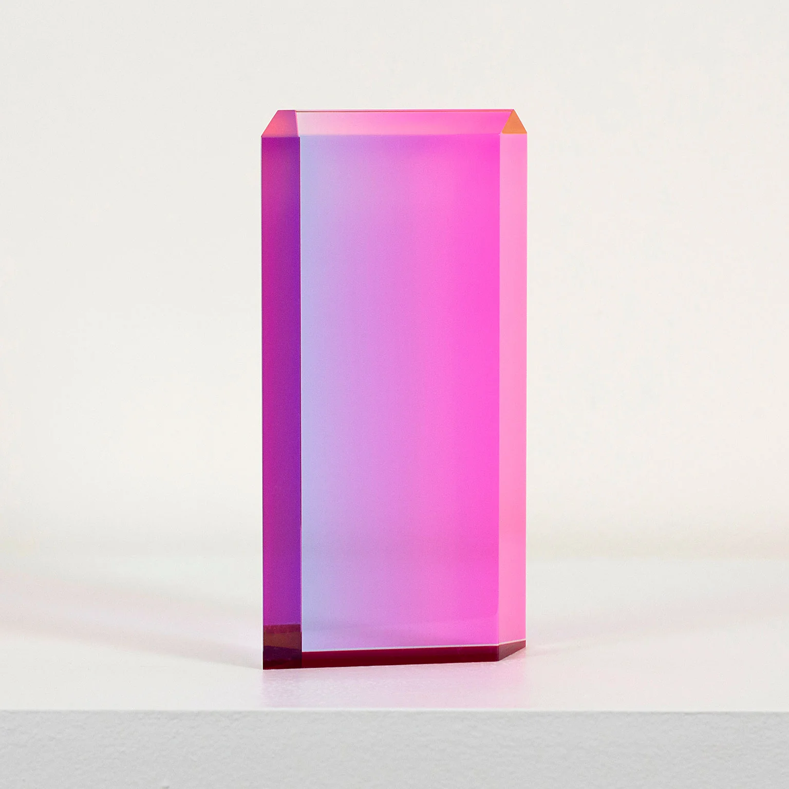 VASA MIHICH "PINK BRICK HOUSE" 2004 - Image 6