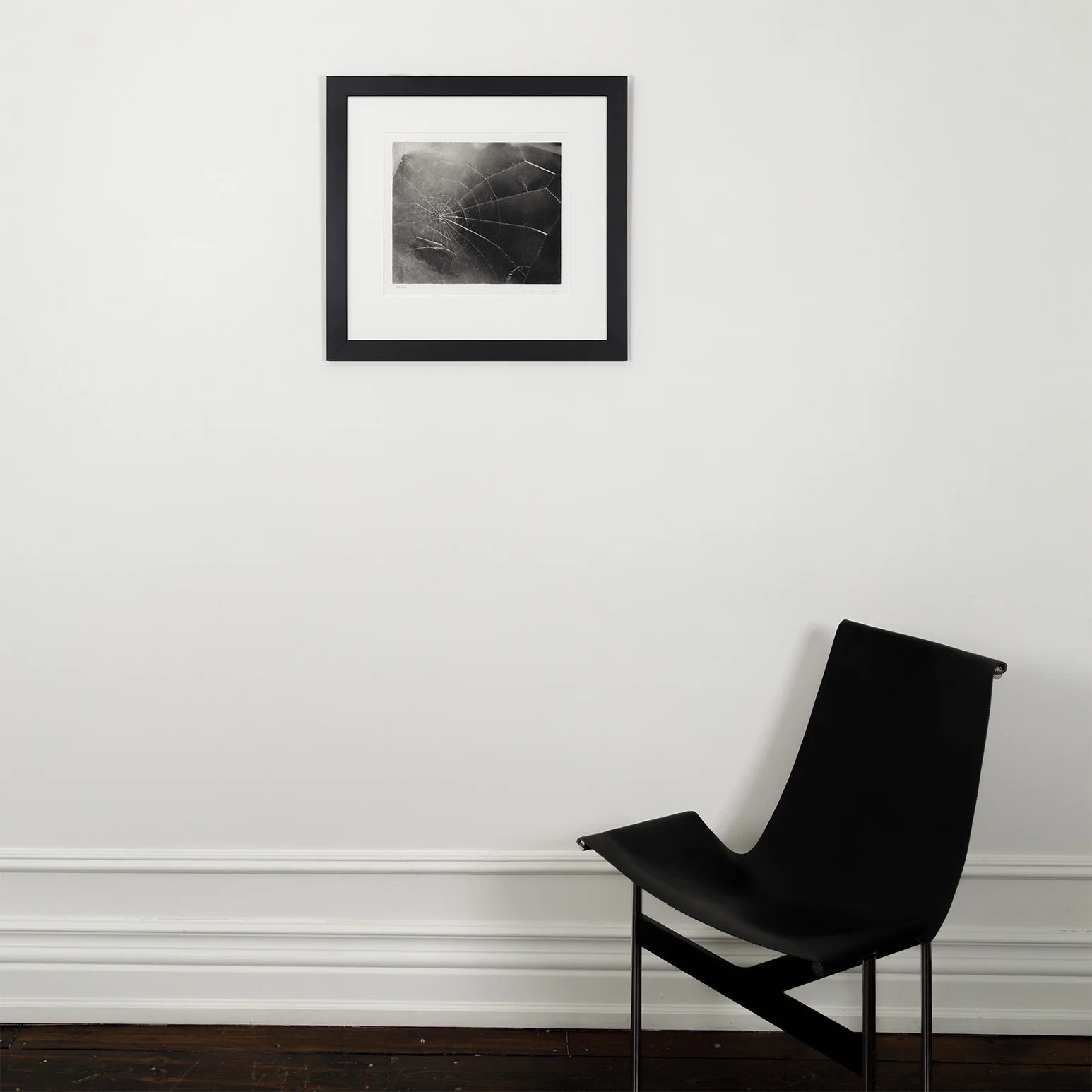 VIJA CELMINS "SPIDER WEB" 2009 - Image 10