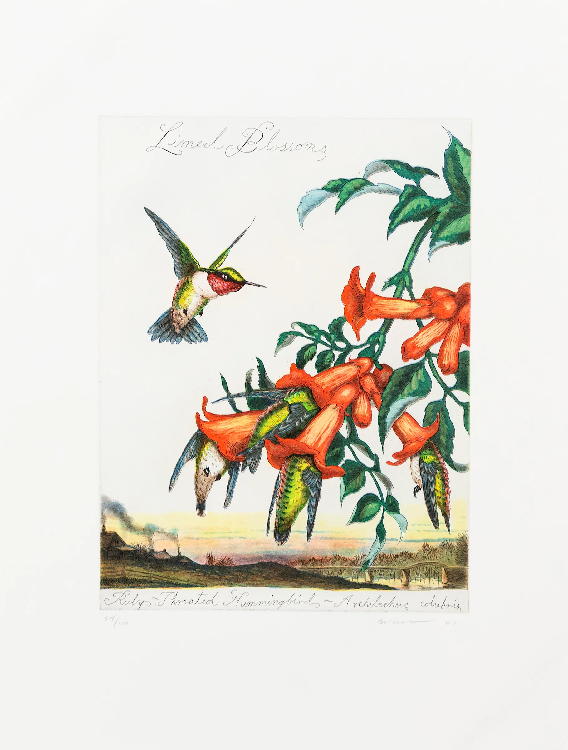 WALTON FORD "LIMED BLOSSOMS" 2007 - Image 13