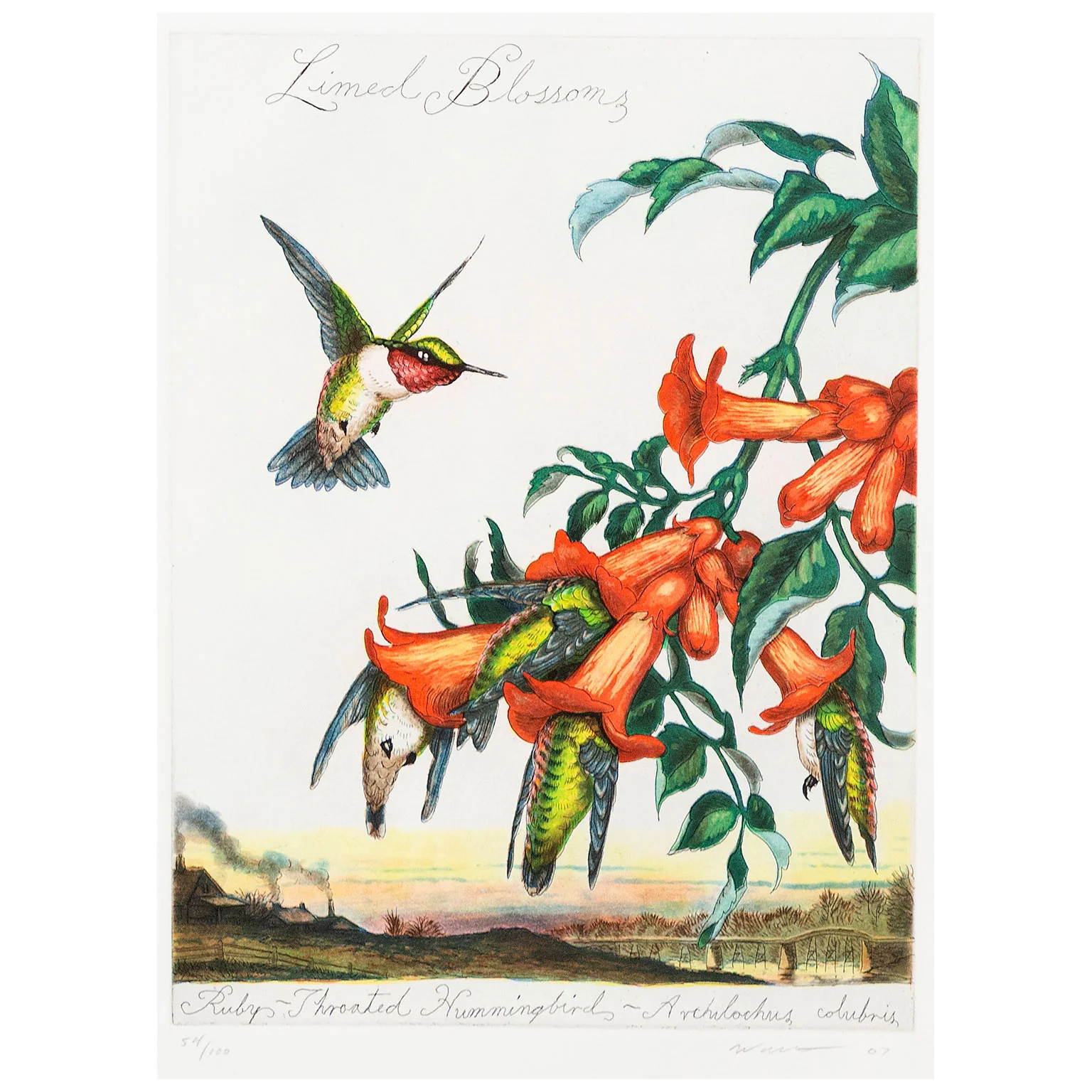 WALTON FORD "LIMED BLOSSOMS" 2007 - Image 3