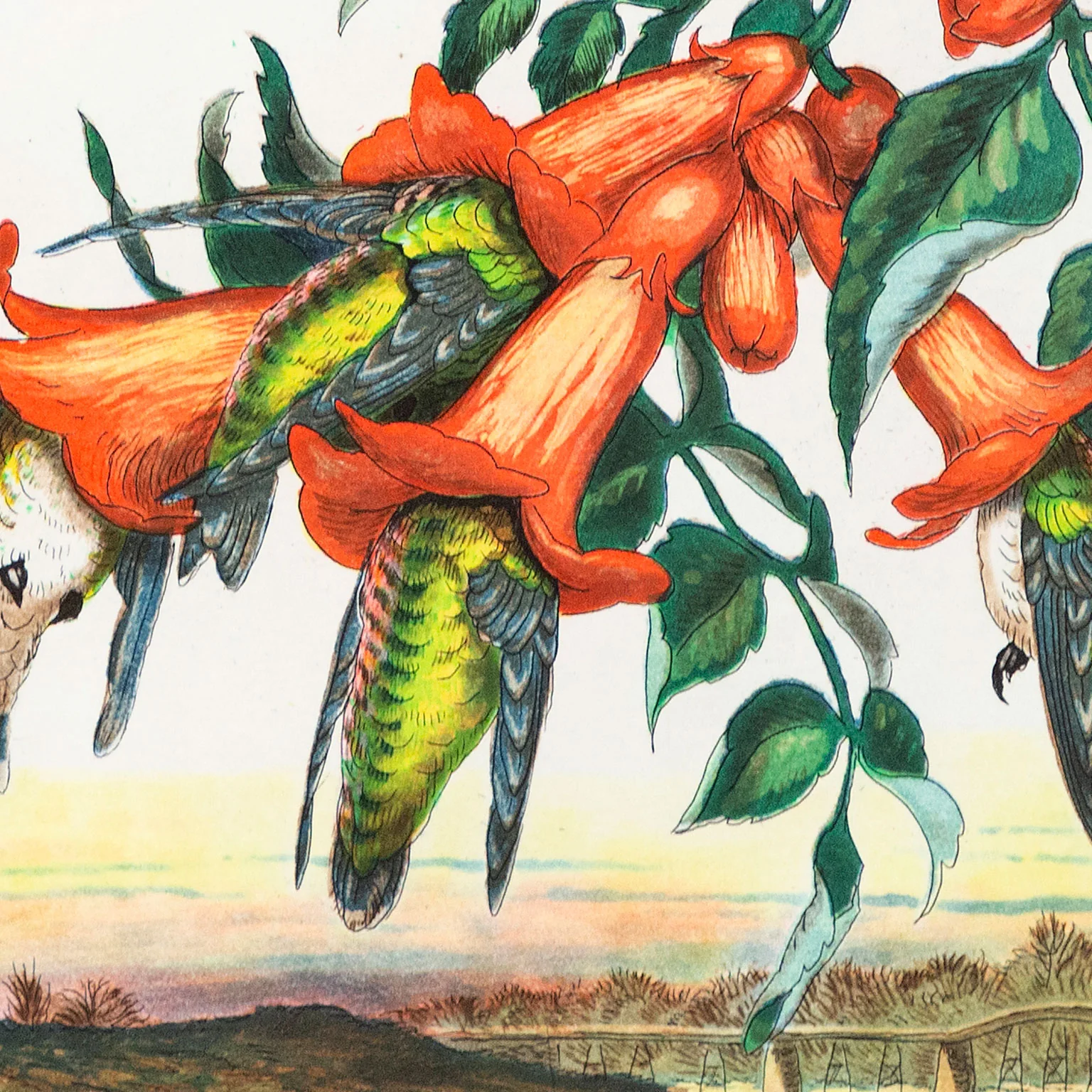 WALTON FORD "LIMED BLOSSOMS" 2007 - Image 6