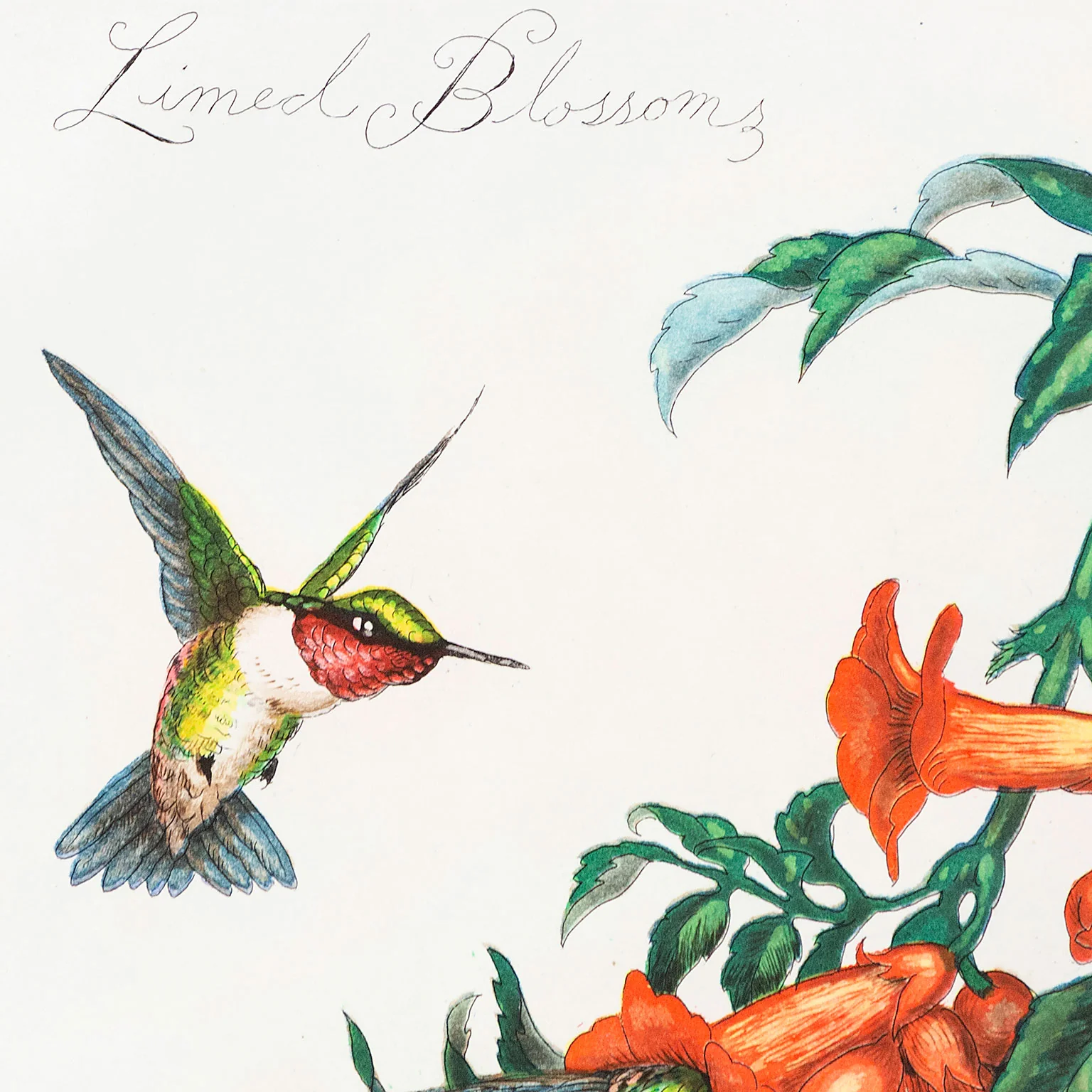 WALTON FORD "LIMED BLOSSOMS" 2007 - Image 7