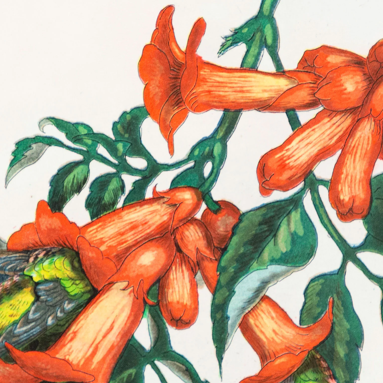 WALTON FORD "LIMED BLOSSOMS" 2007 - Image 8