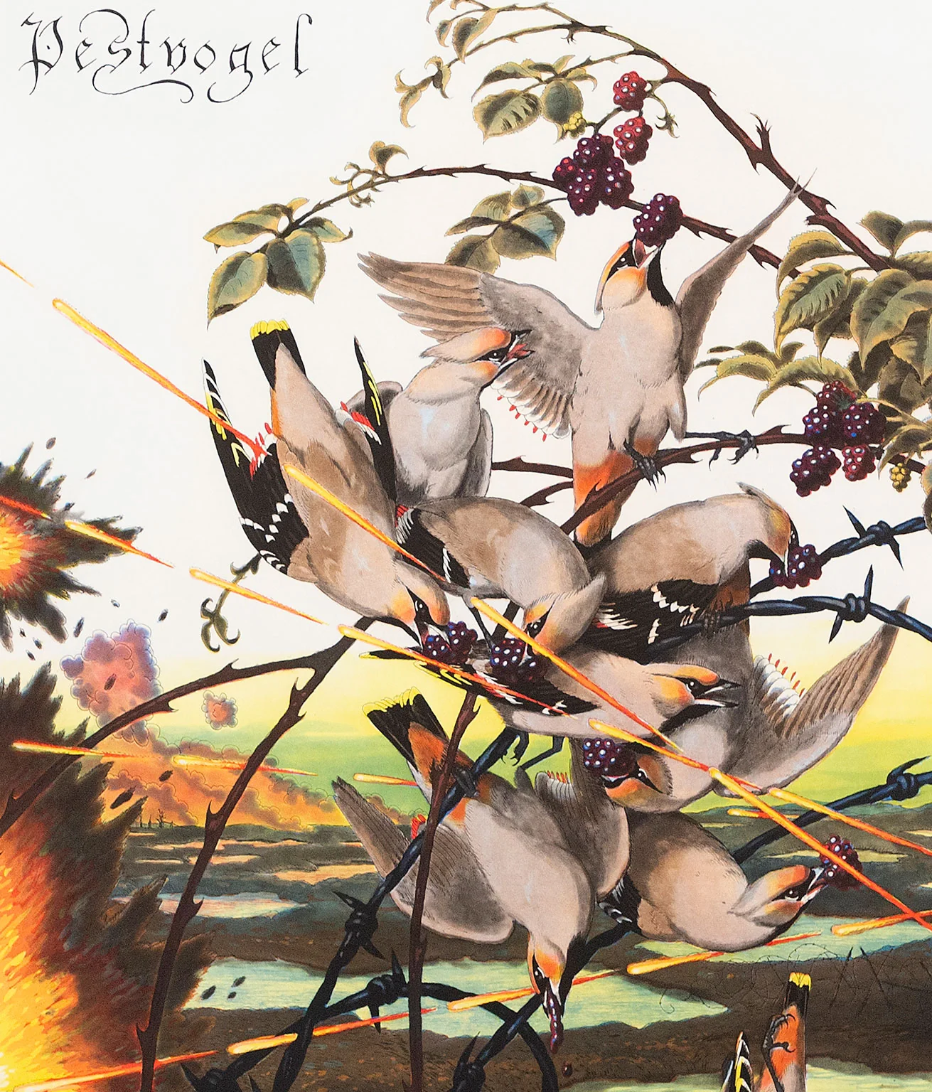 WALTON FORD "PESTVOGEL" 2016