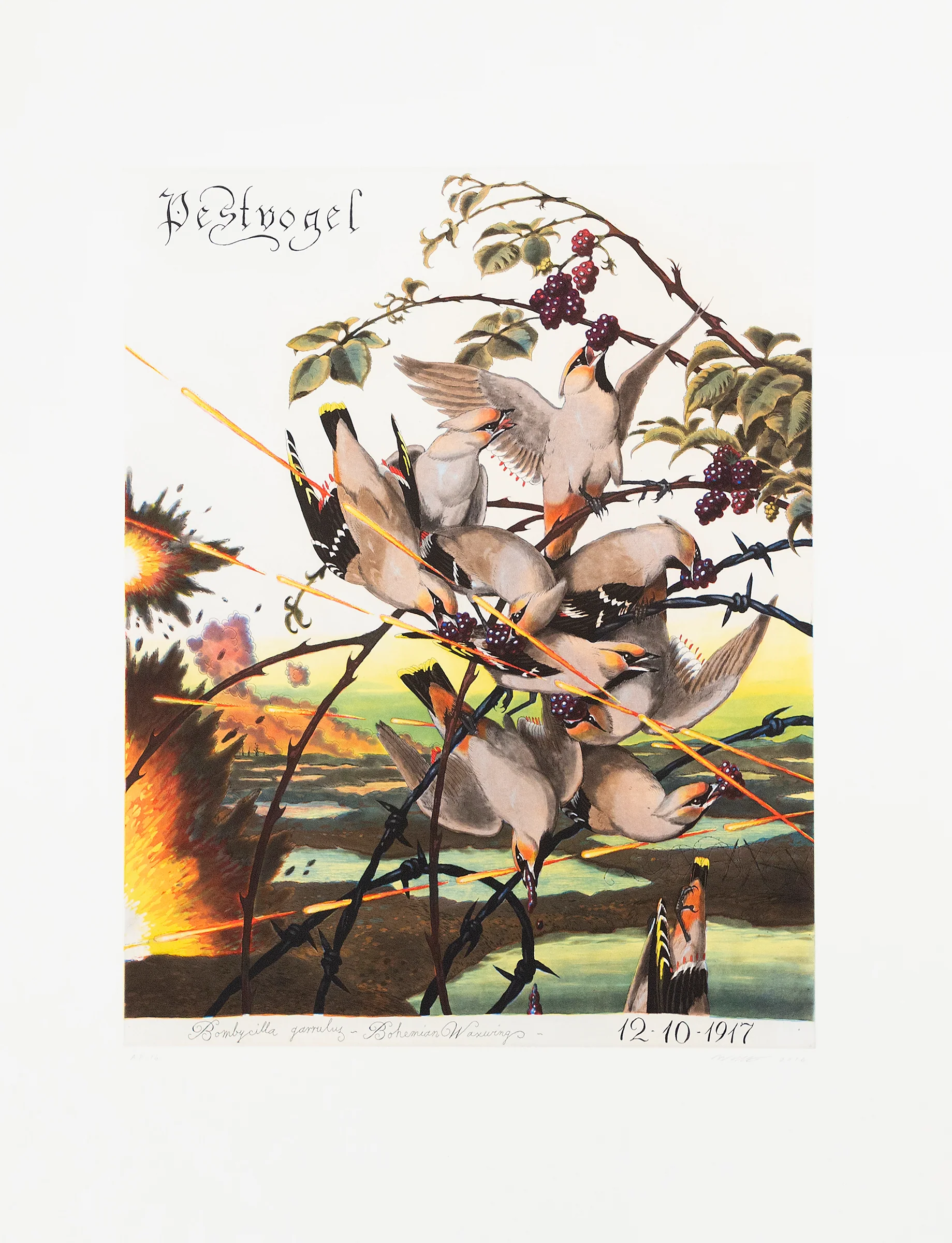 WALTON FORD "PESTVOGEL" 2016 - Image 11