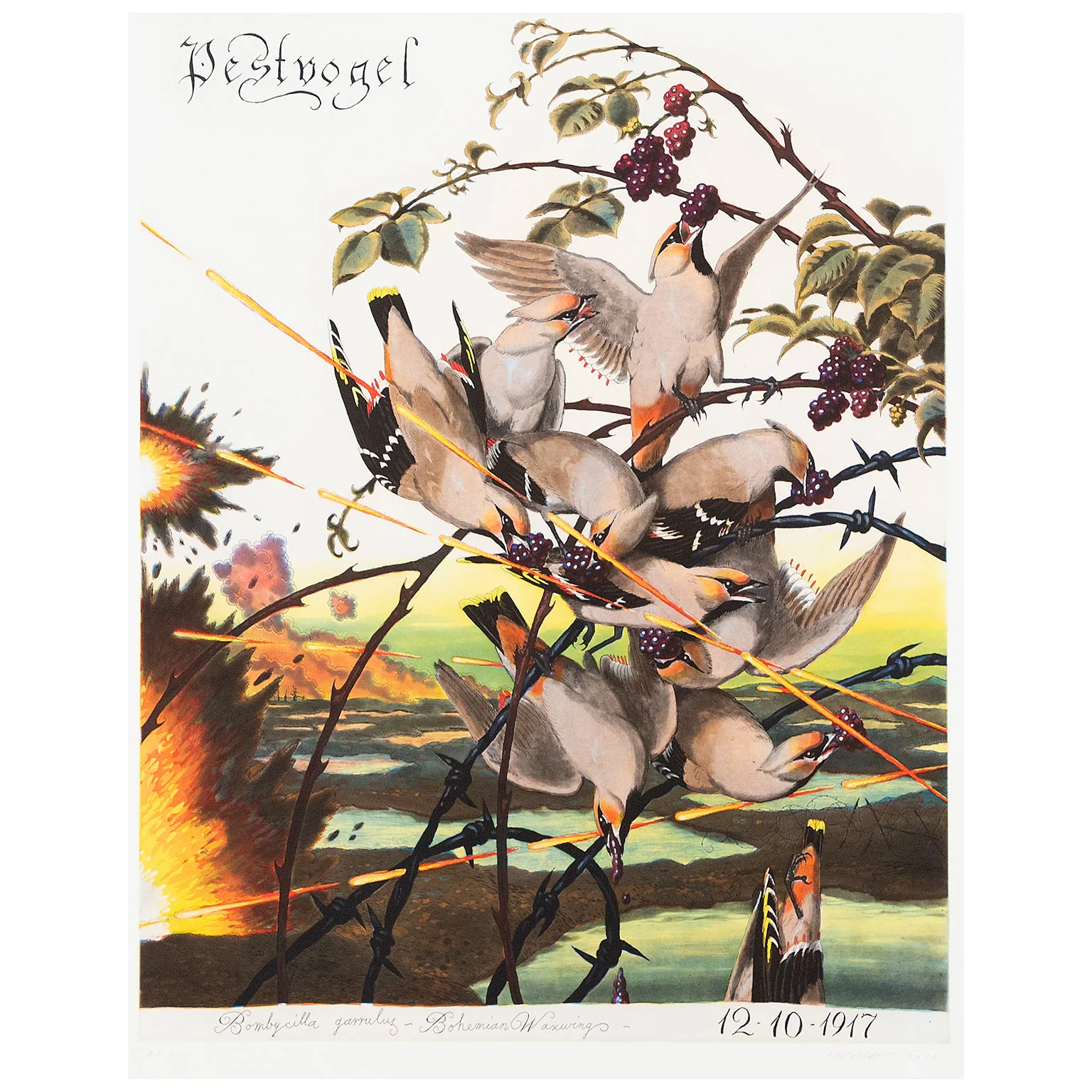 WALTON FORD "PESTVOGEL" 2016 - Image 2