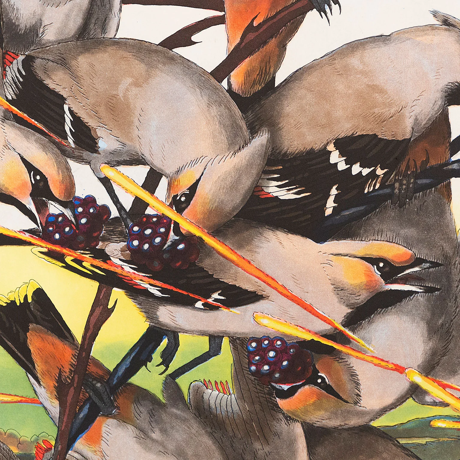 WALTON FORD "PESTVOGEL" 2016 - Image 6